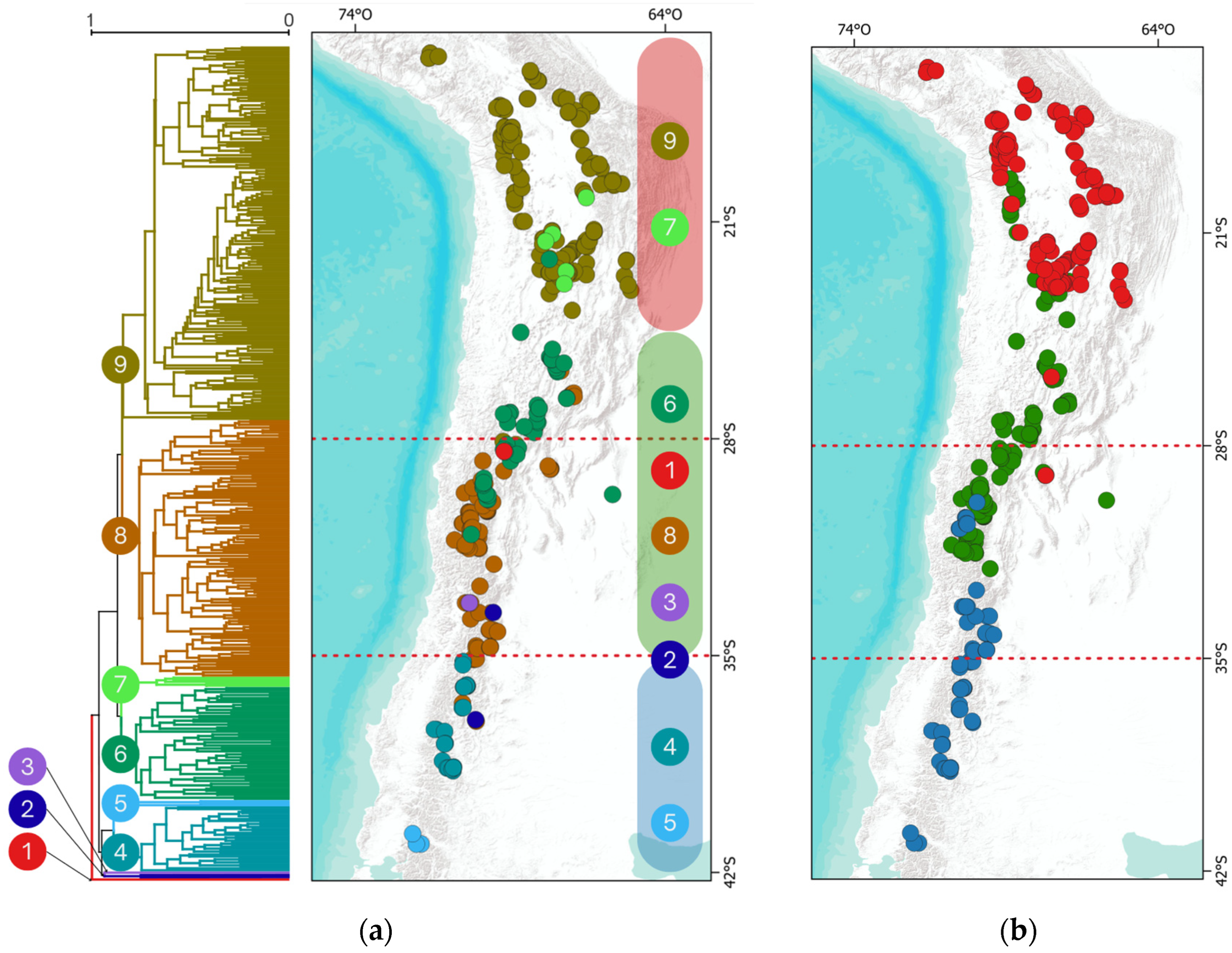 Plants 13 02202 g004