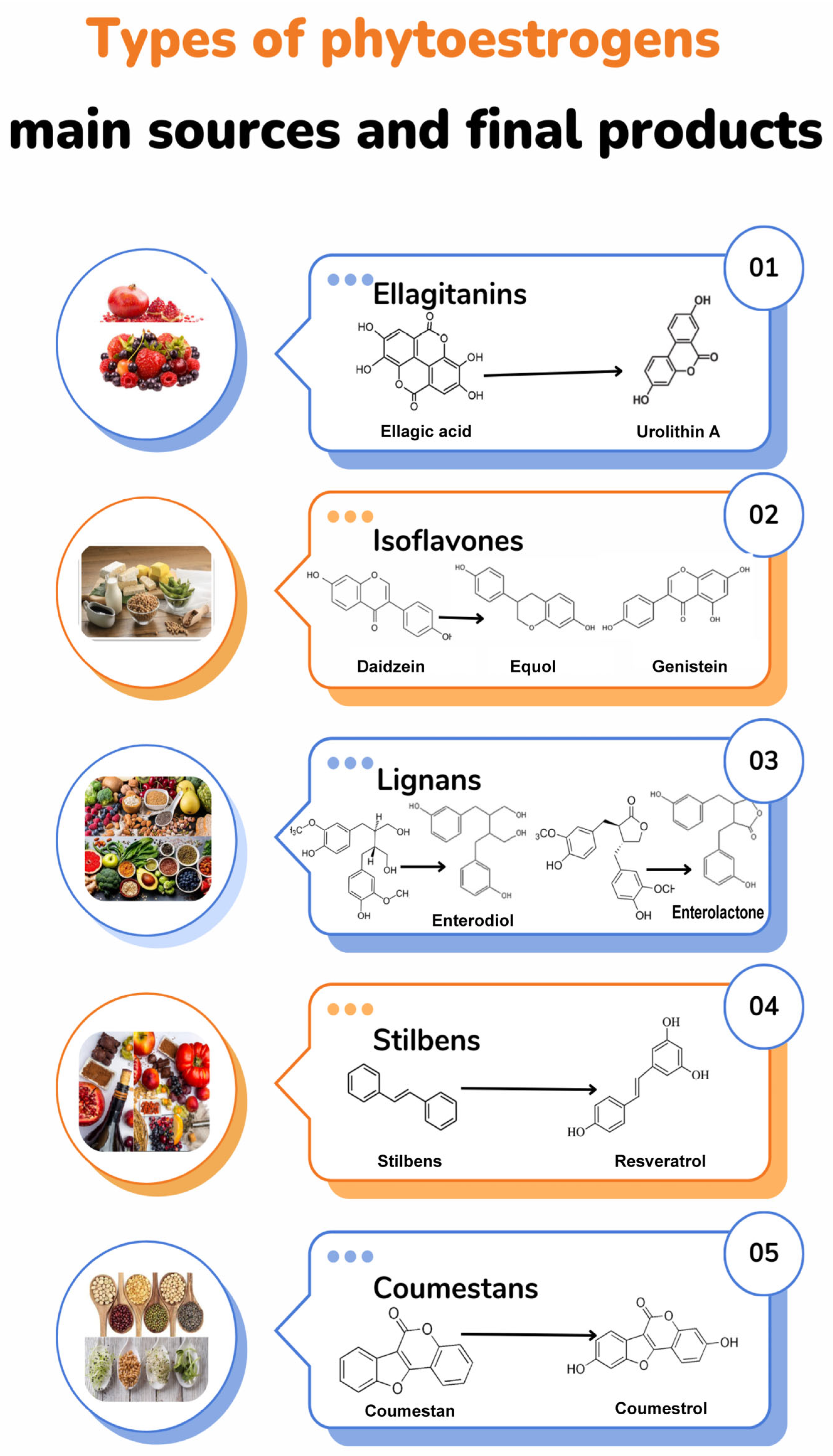 Plants 13 02205 g001