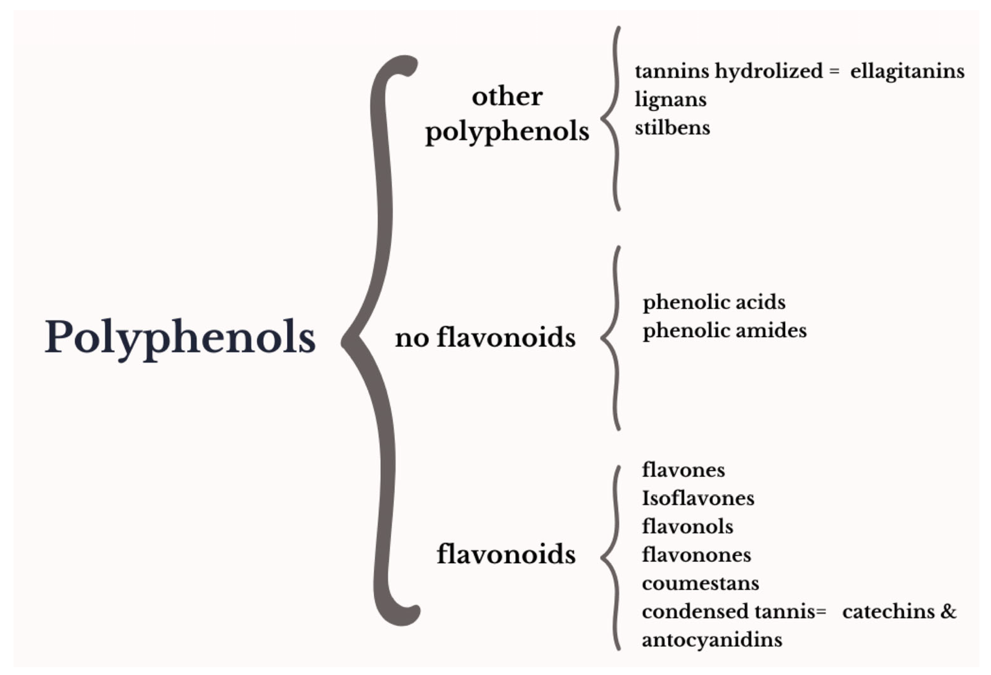 Plants 13 02205 g002