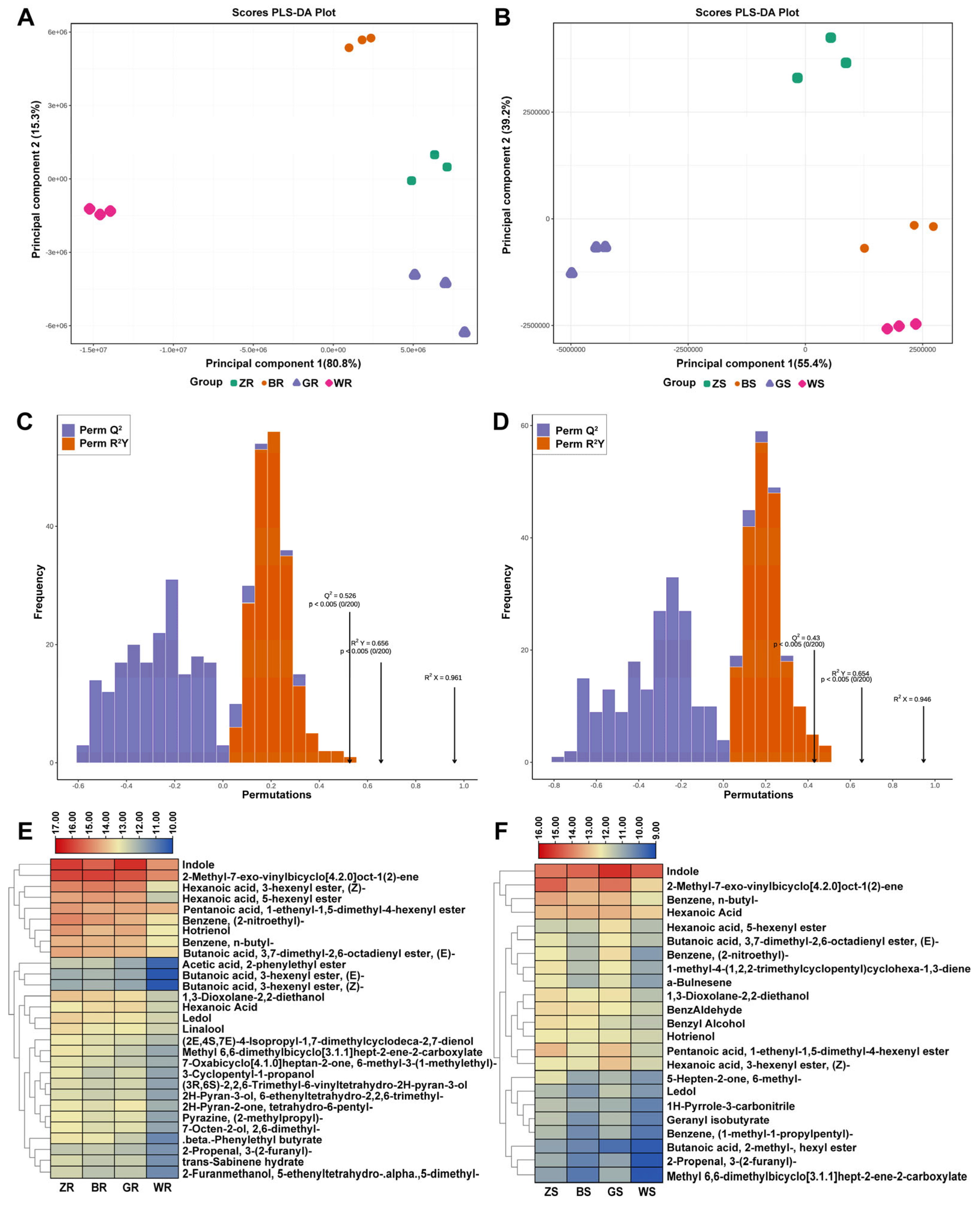 Plants | Free Full-Text | Volatilomics and Macro-Composition Analyses ...