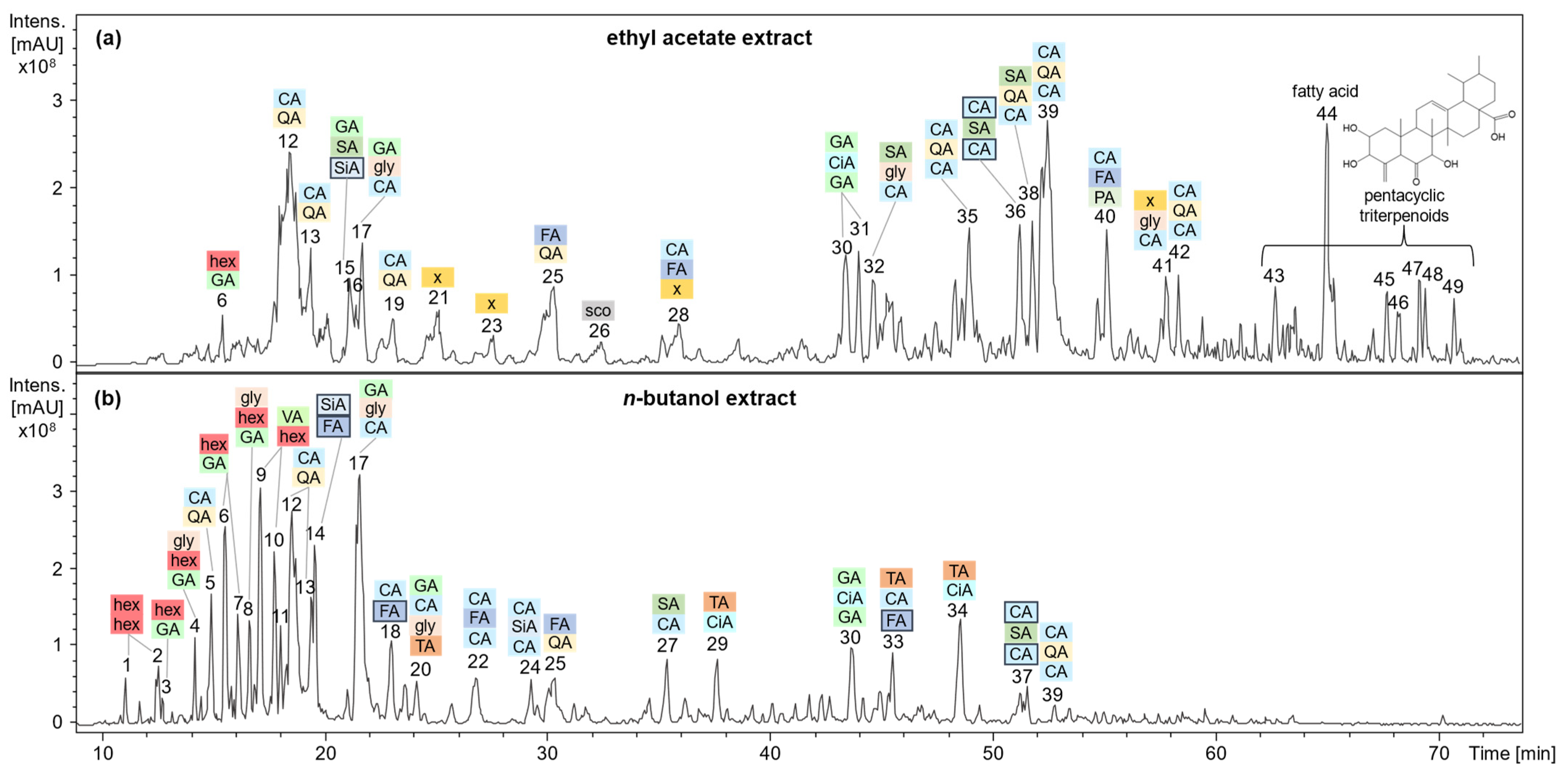 Plants 13 02208 g005