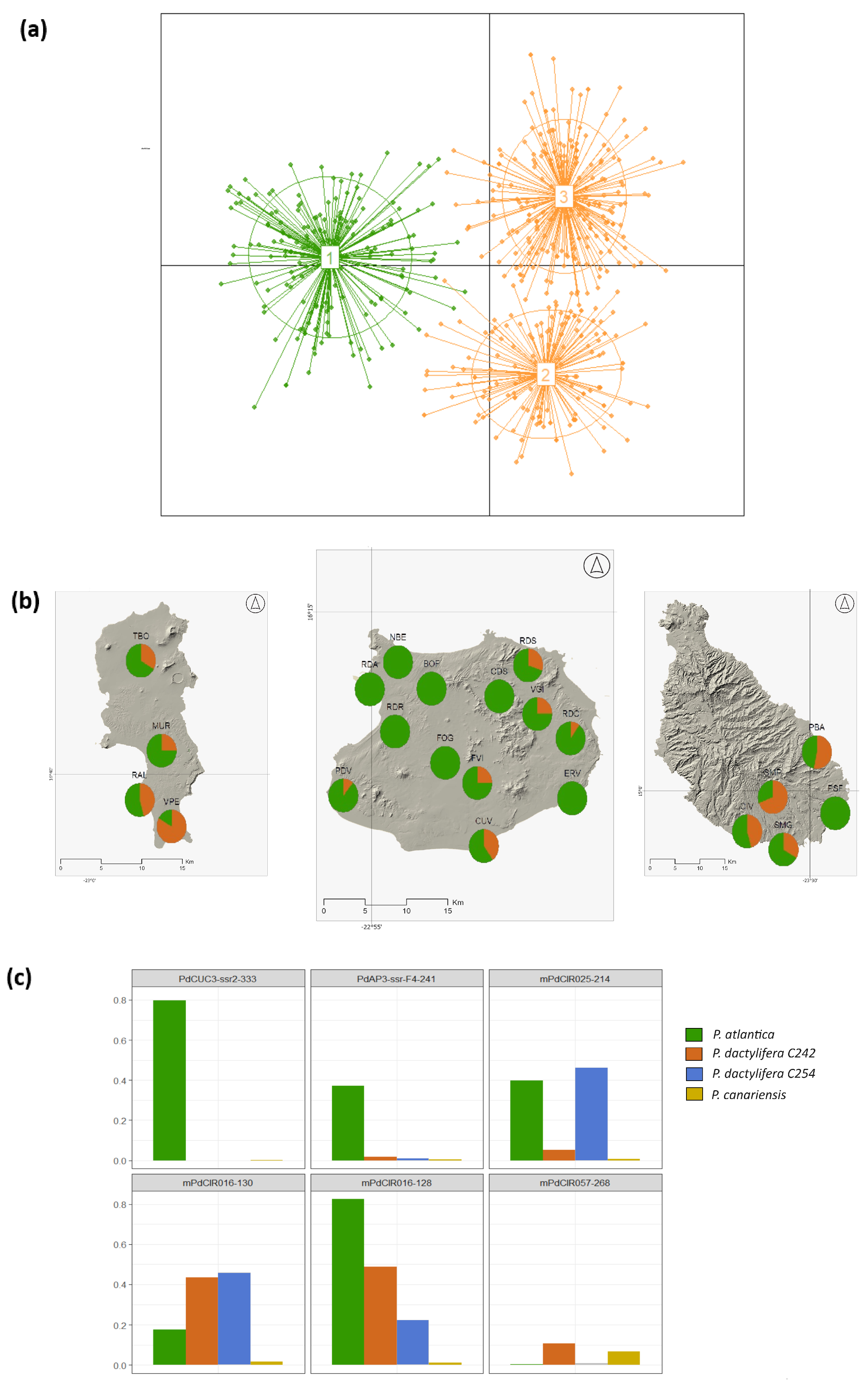 Plants 13 02209 g003