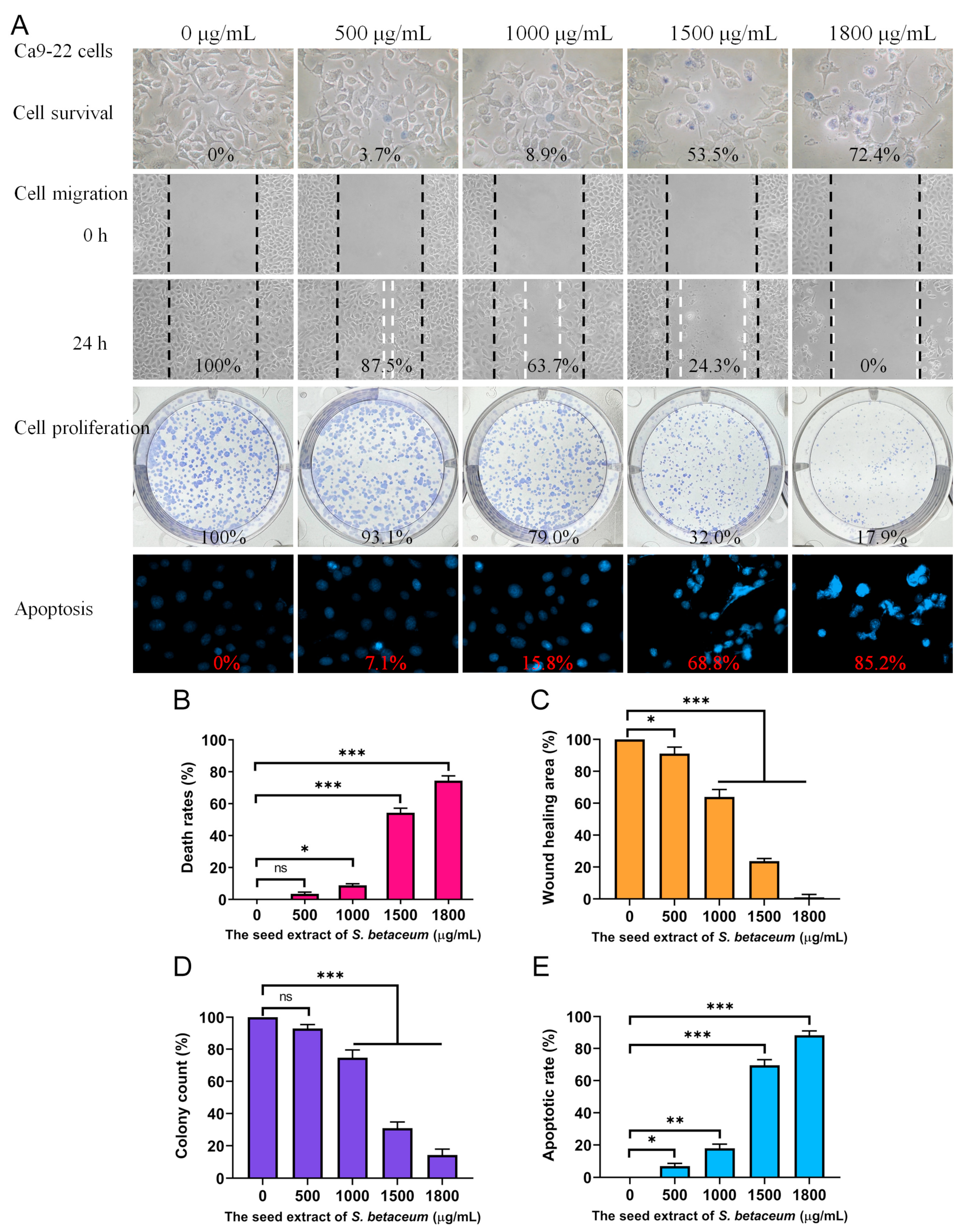 Plants 13 02215 g001