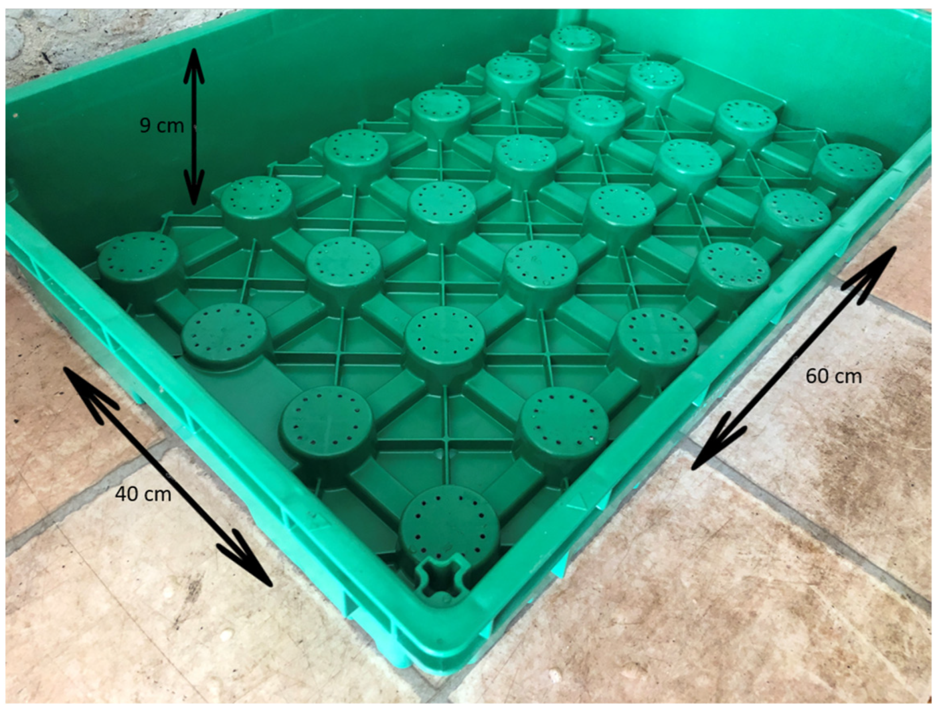 Plants 13 02216 g006