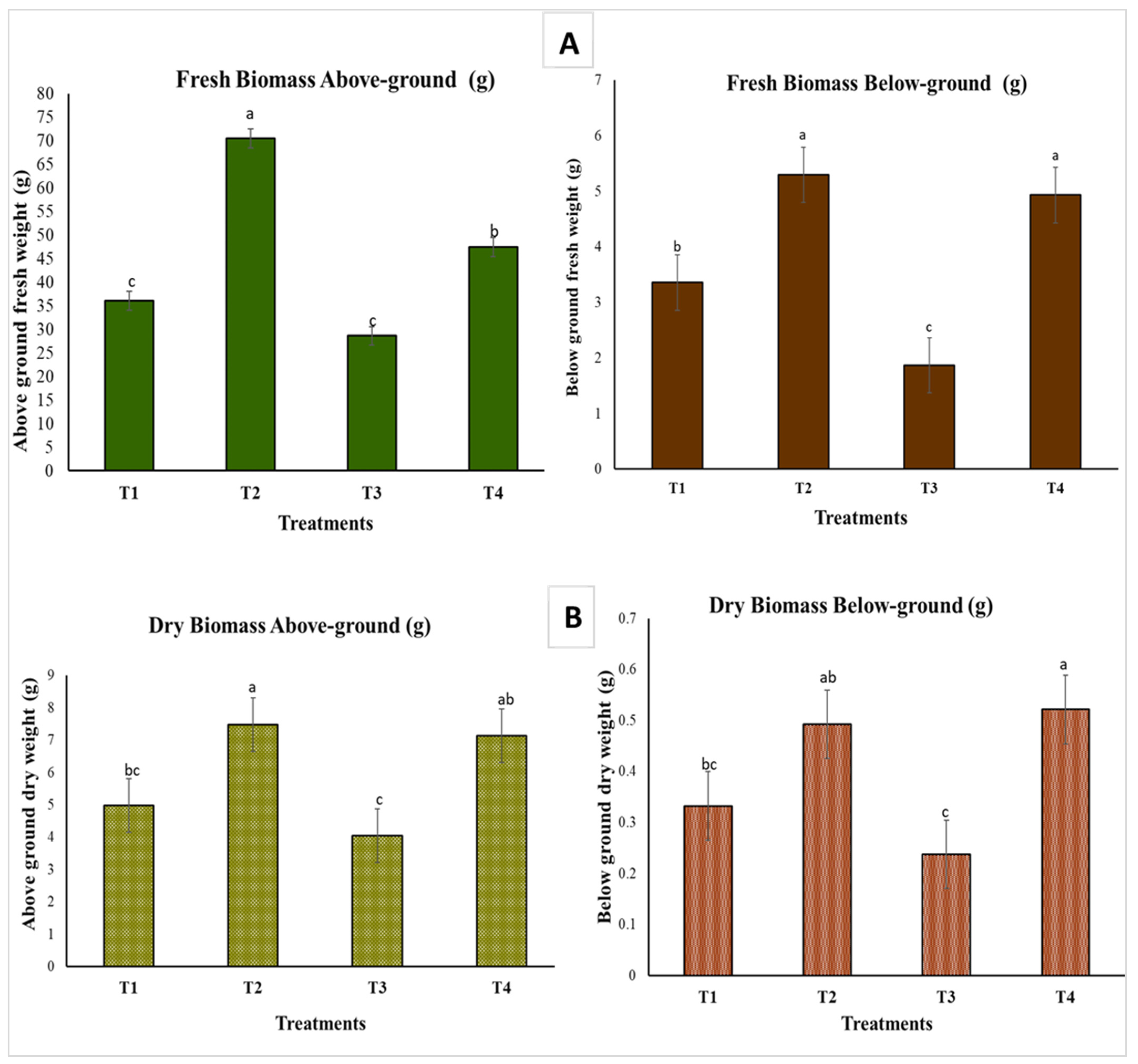 Plants 13 02218 g008