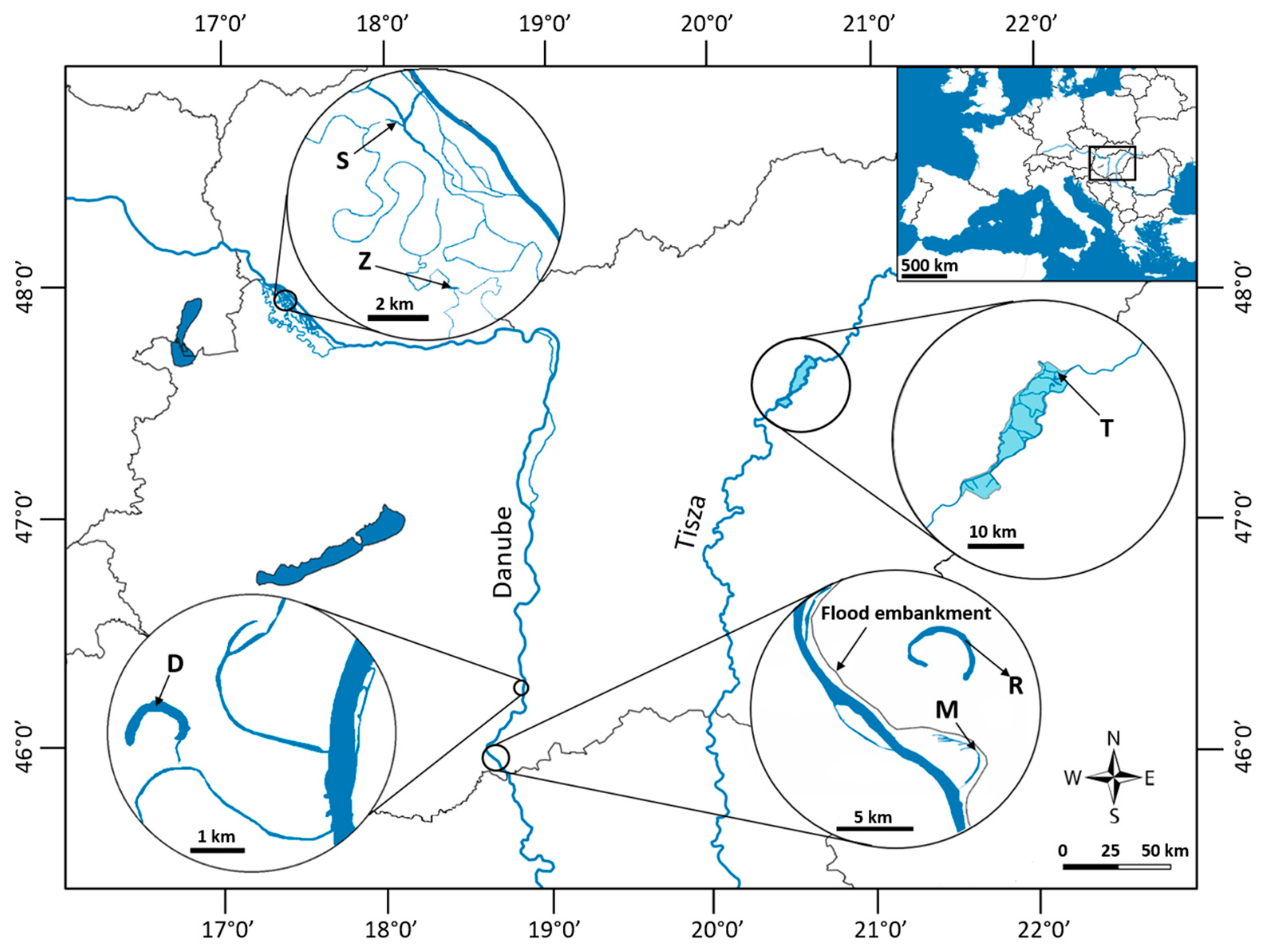 Plants 13 02220 g001