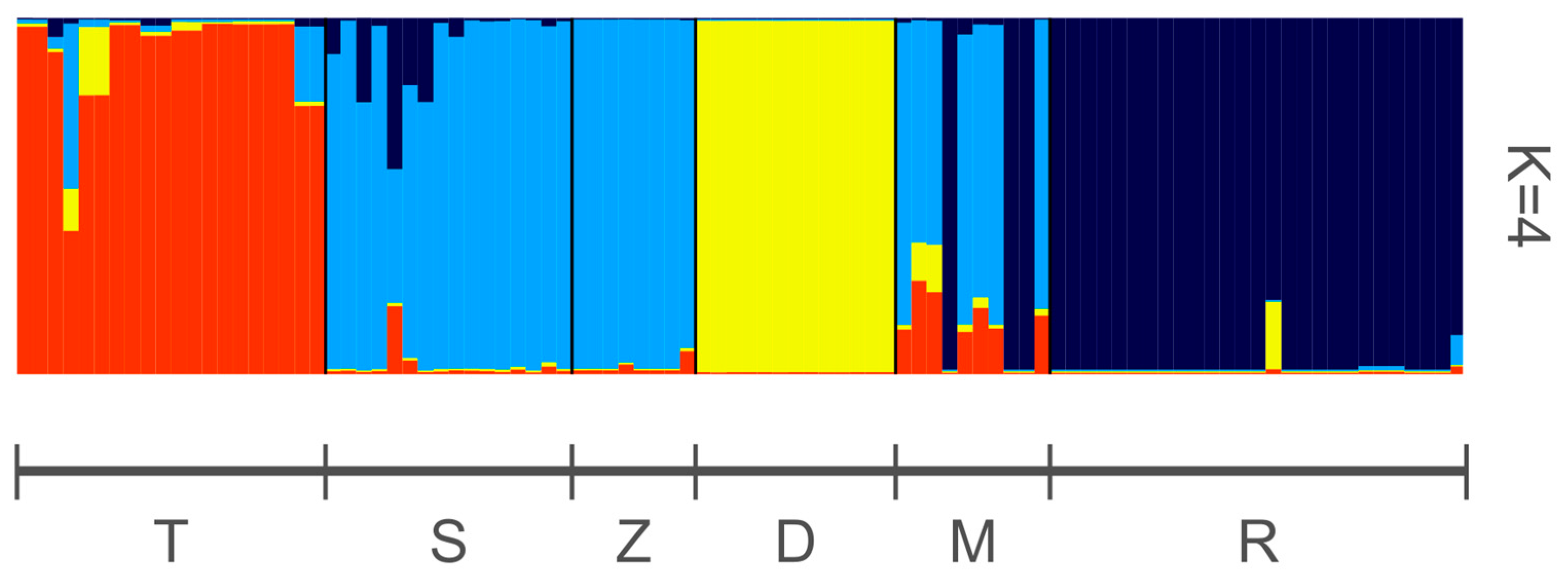 Plants 13 02220 g004