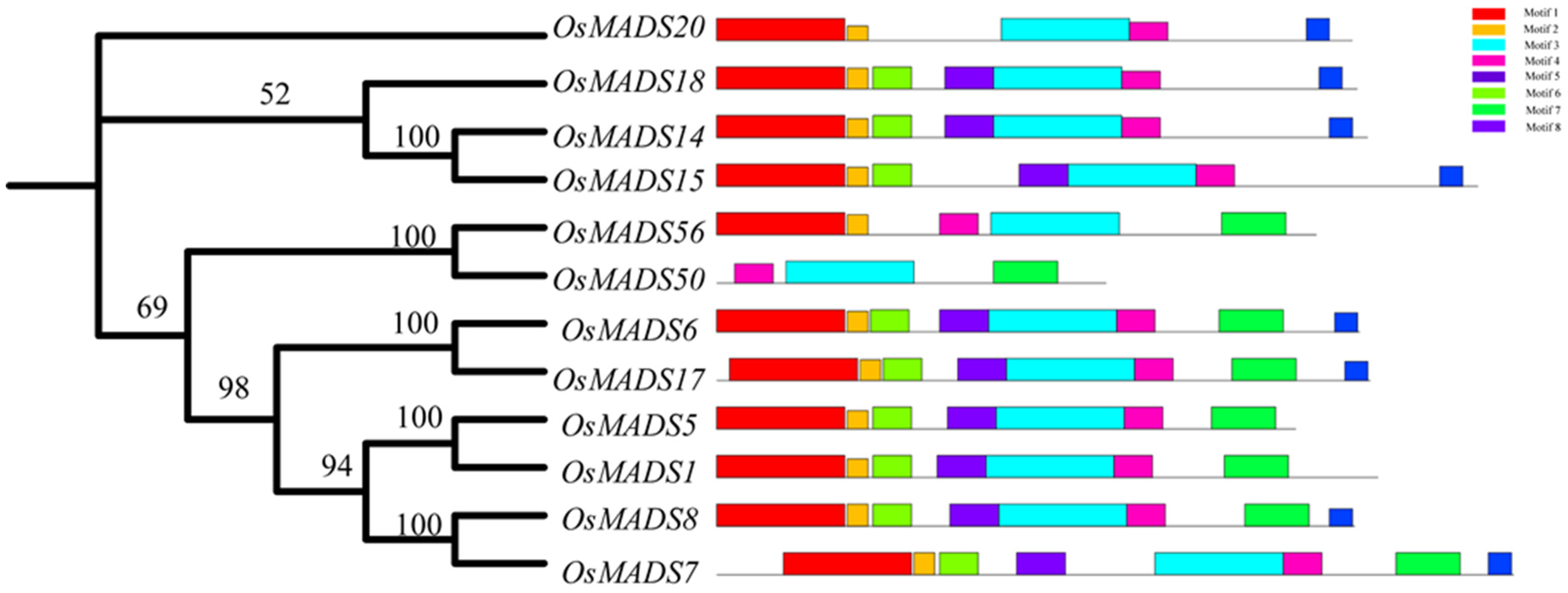 Plants 13 02221 g003