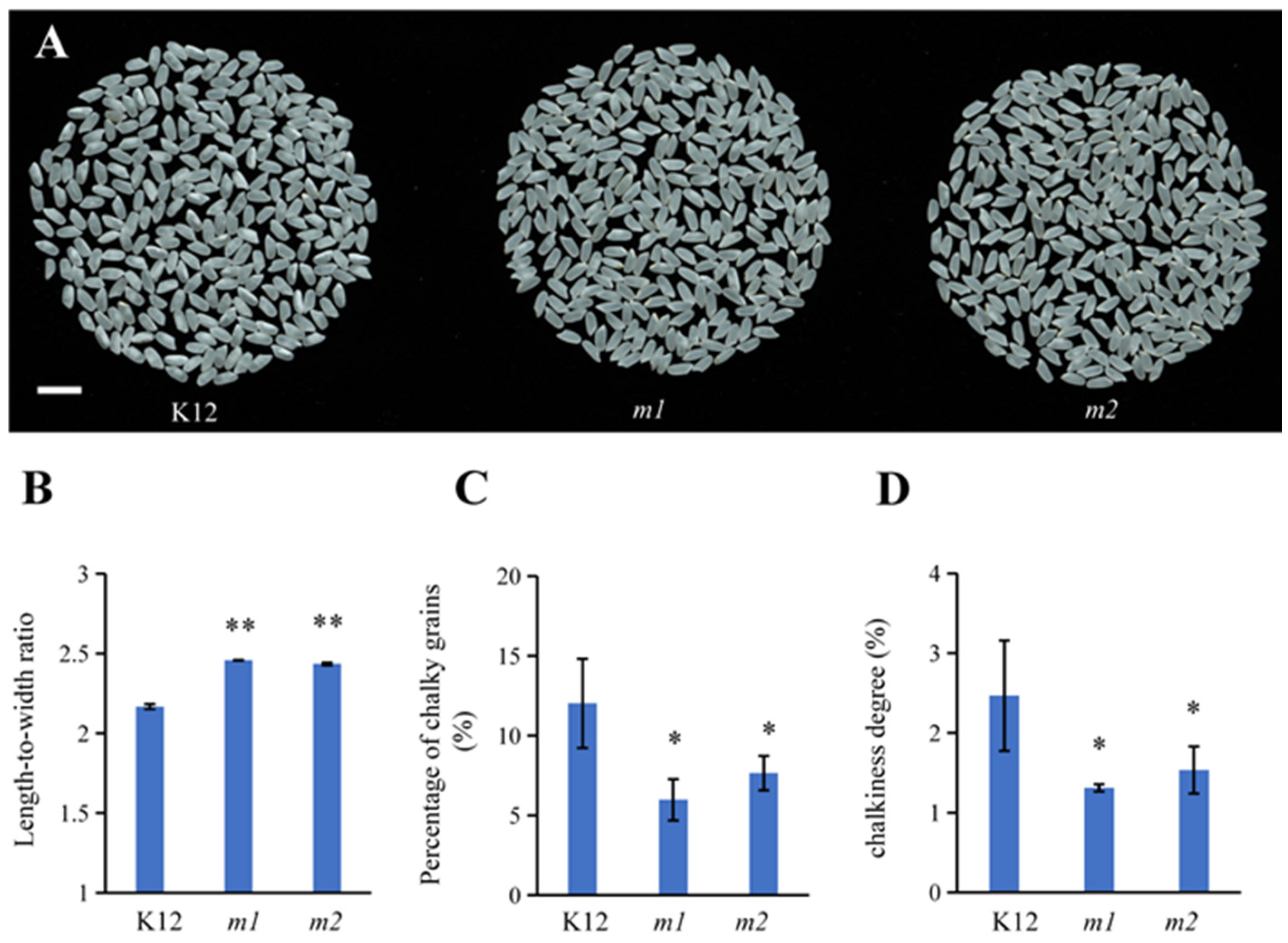 Plants 13 02221 g006