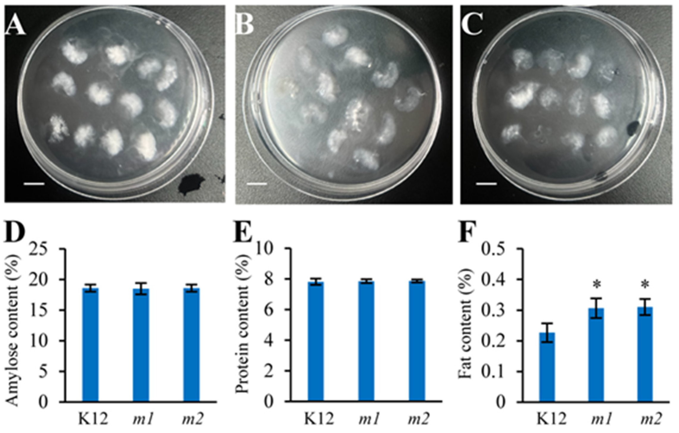 Plants 13 02221 g007