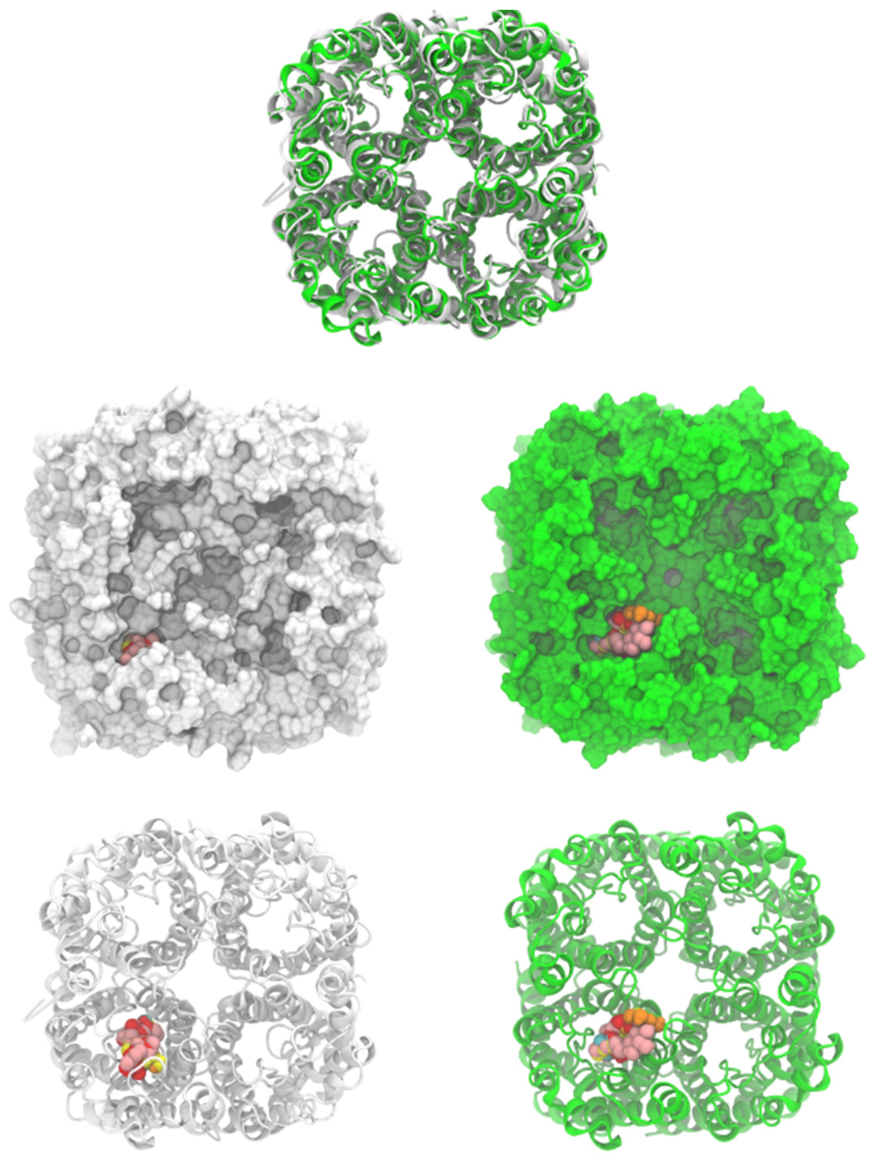 Plants 13 02223 g003