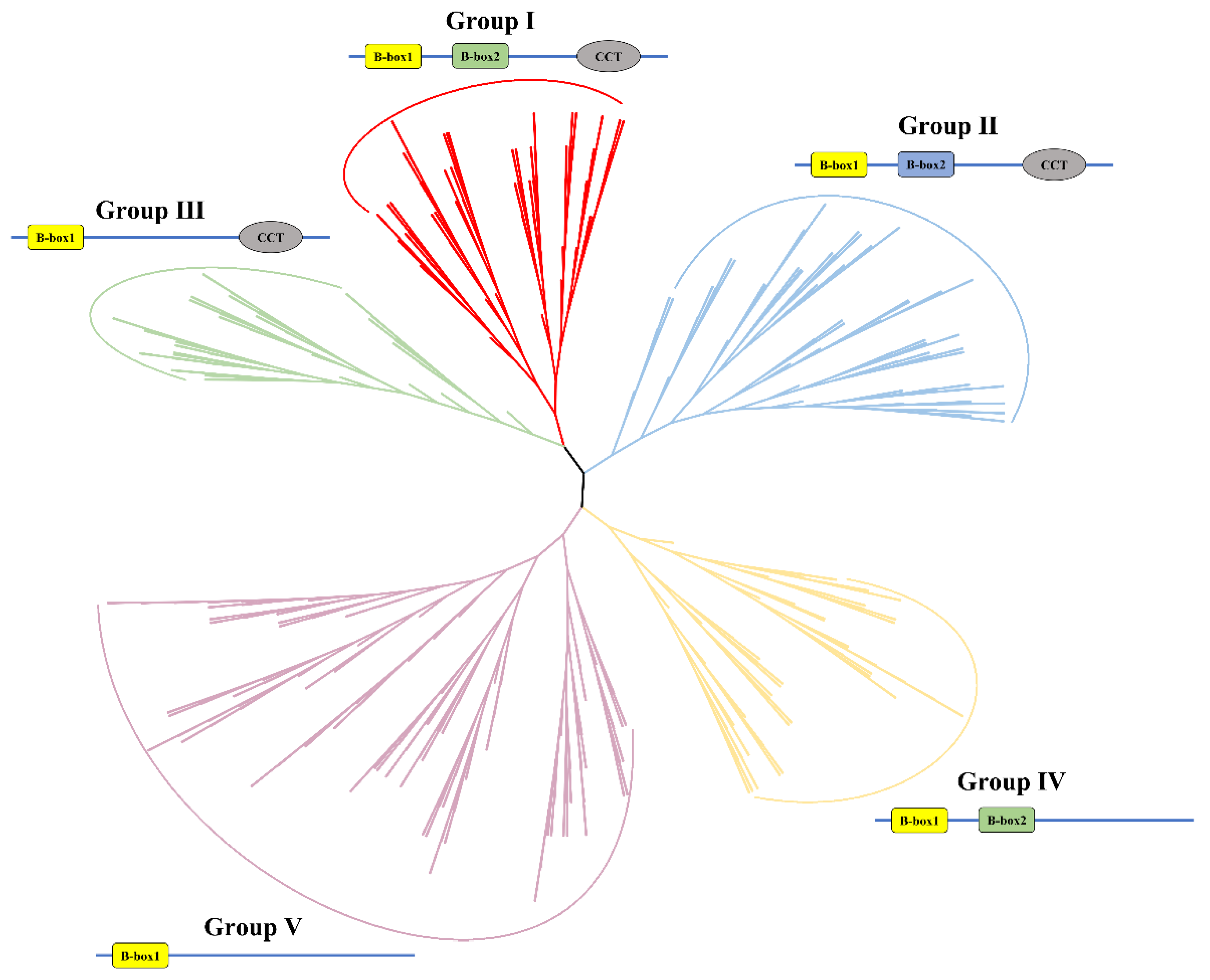 Plants 13 02226 g001