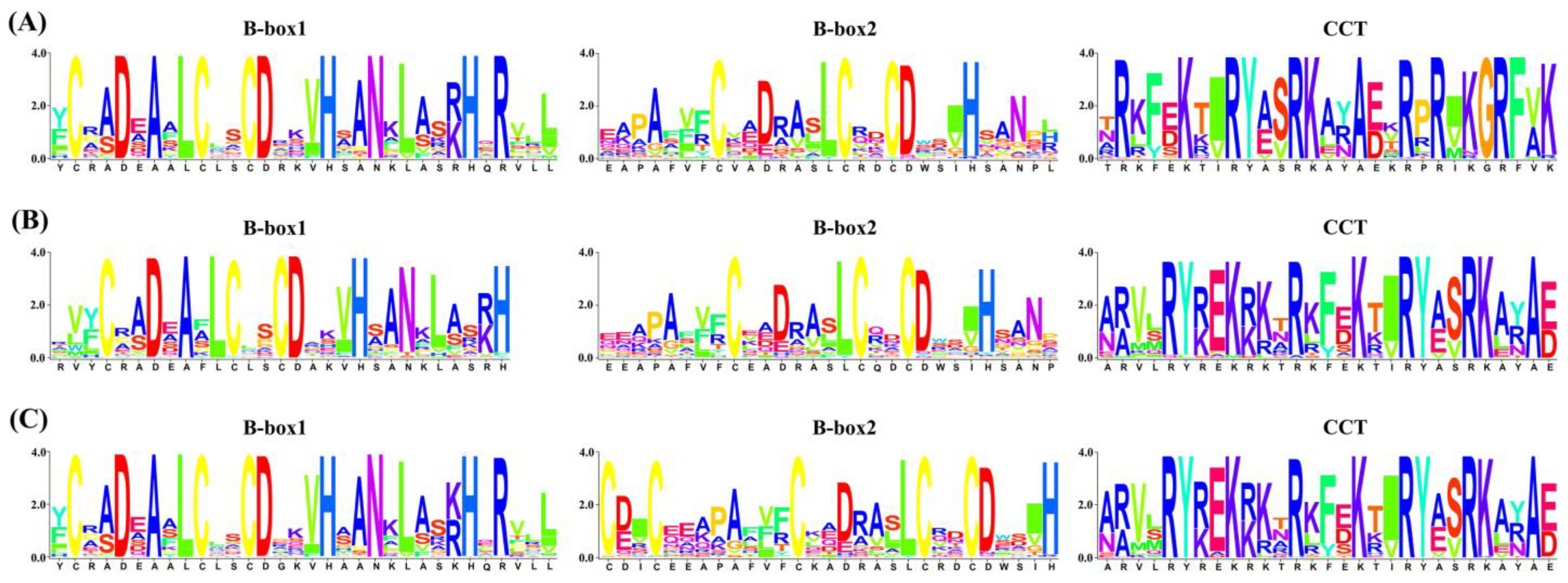 Plants 13 02226 g002