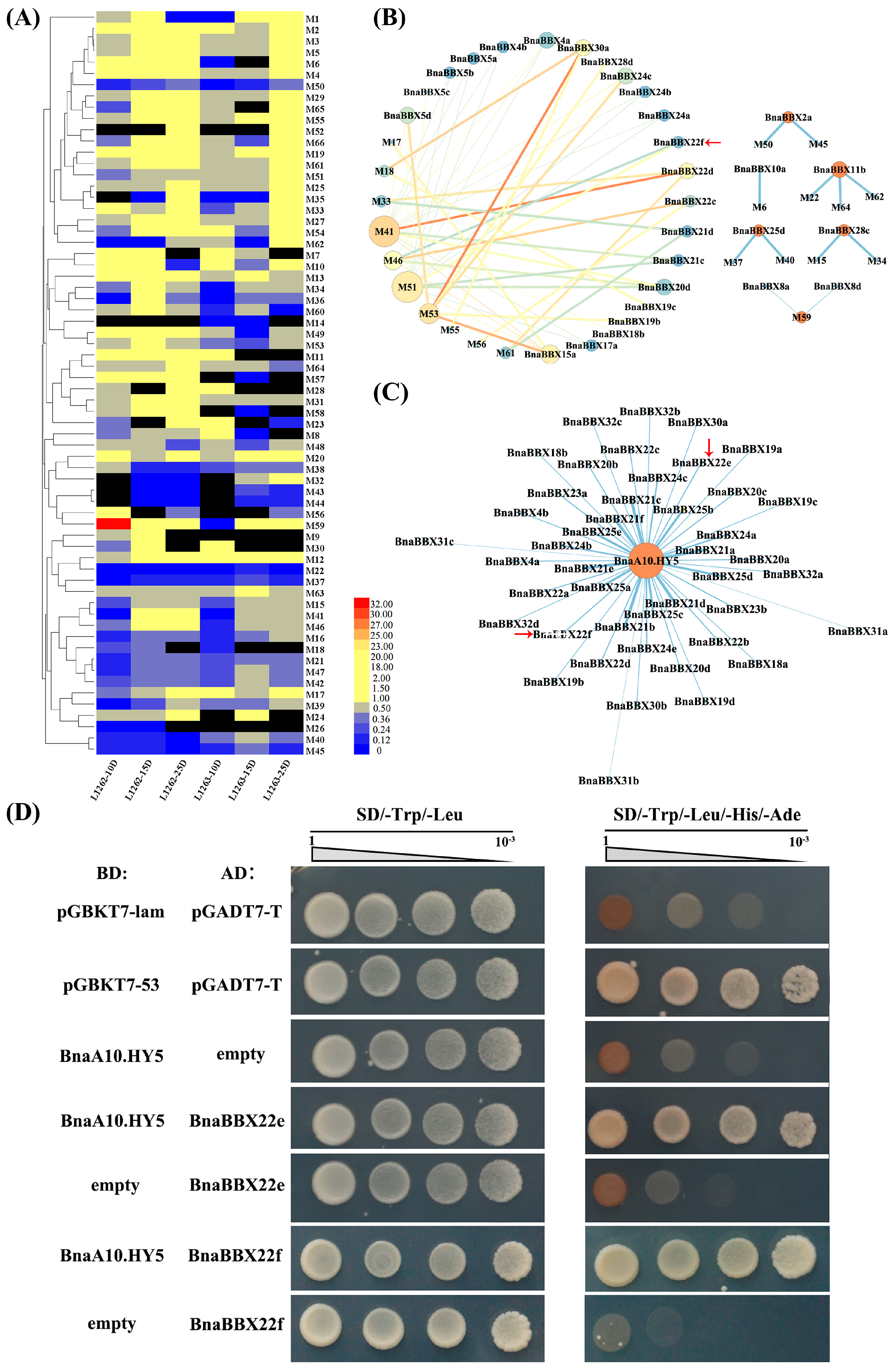 Plants 13 02226 g006
