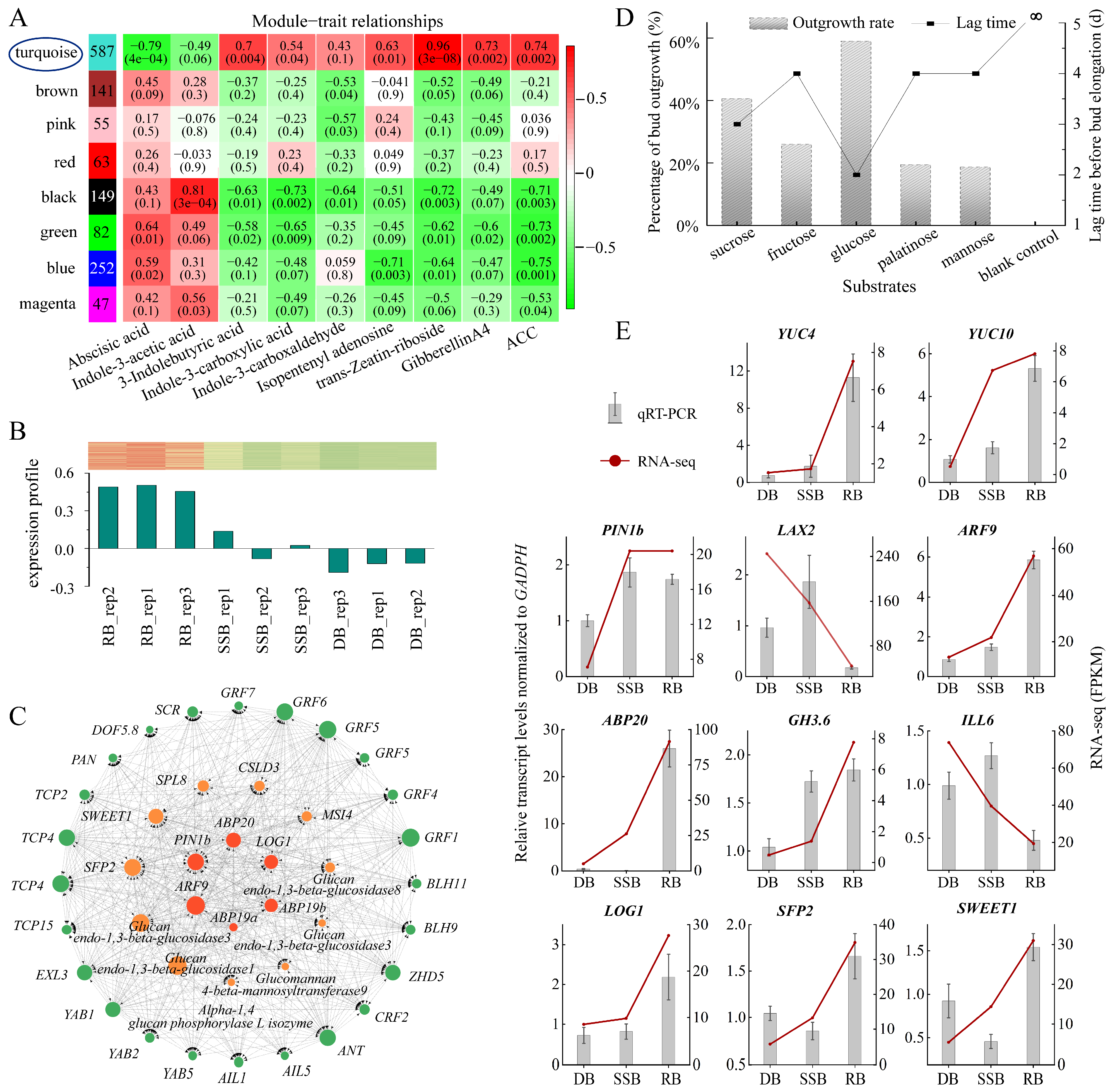 Plants 13 02241 g003