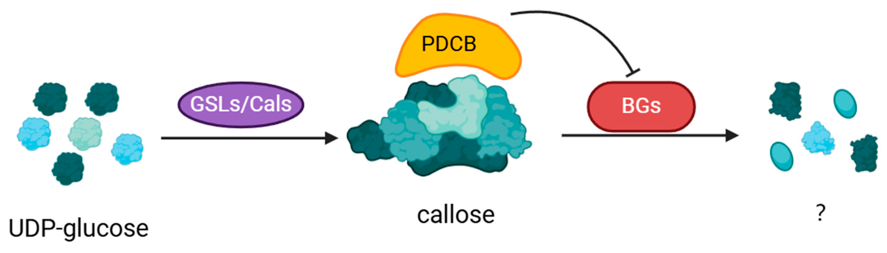 Plants 13 02242 g002