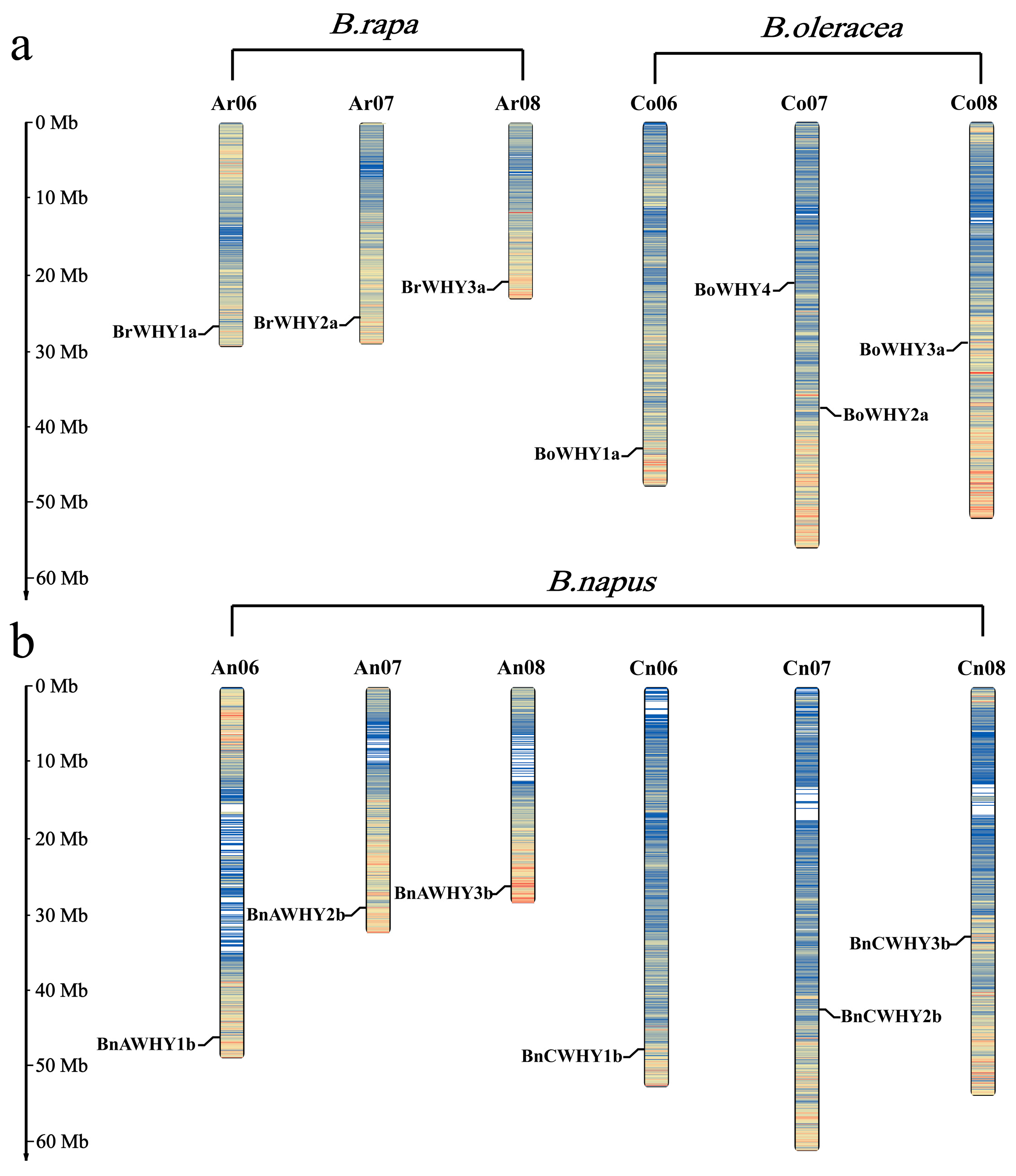Plants 13 02243 g001