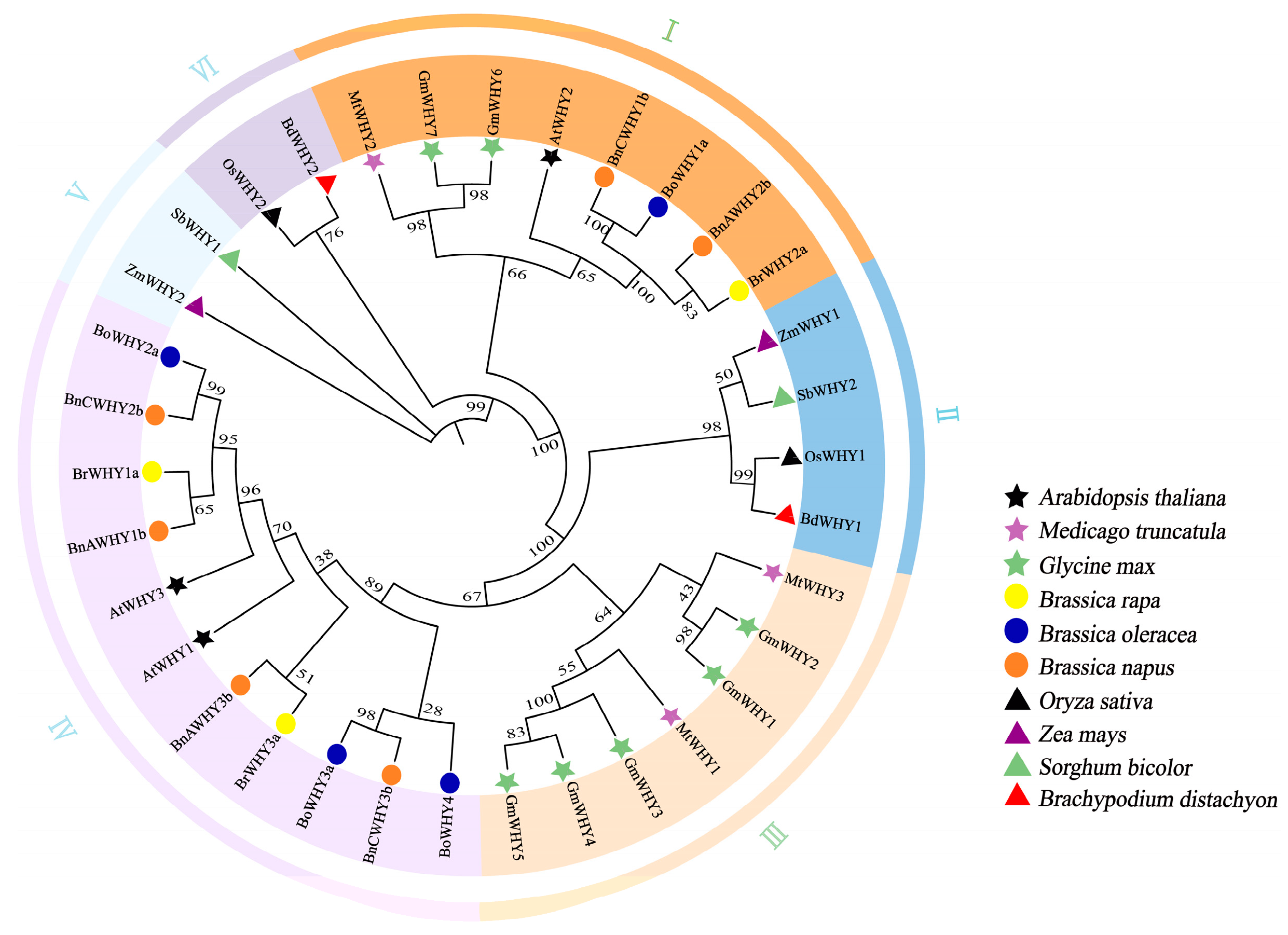 Plants 13 02243 g002