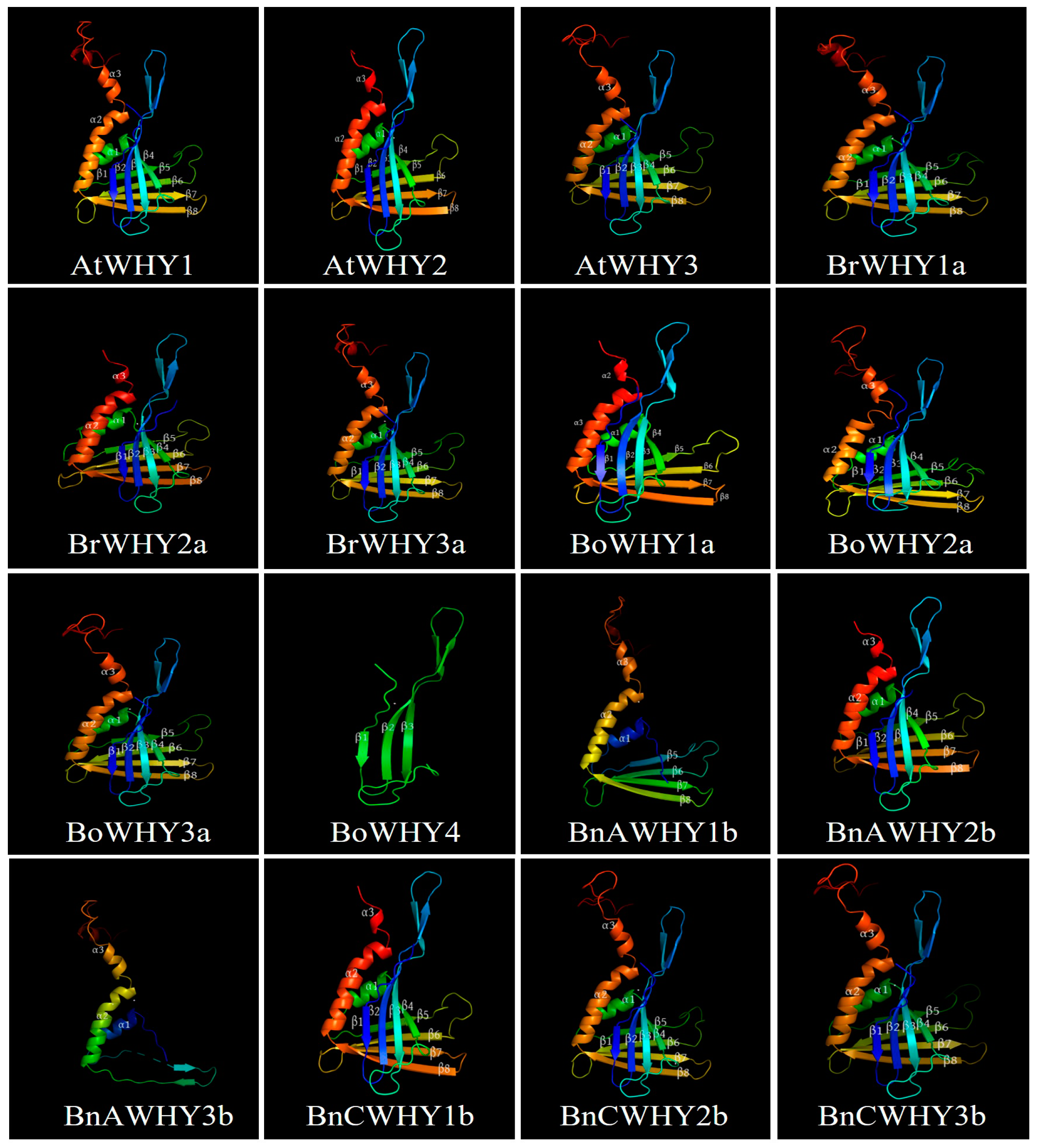 Plants 13 02243 g003