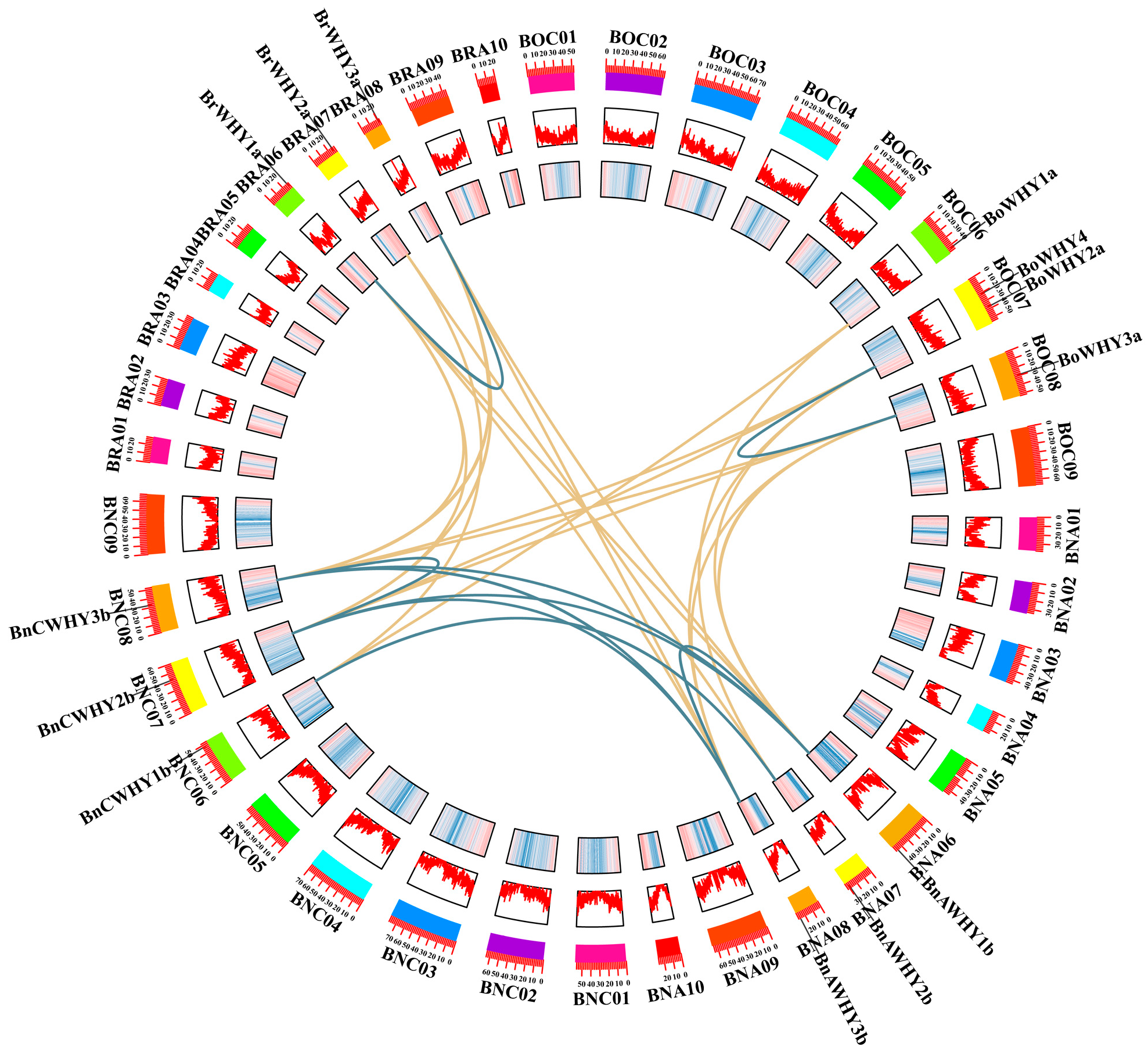 Plants 13 02243 g005