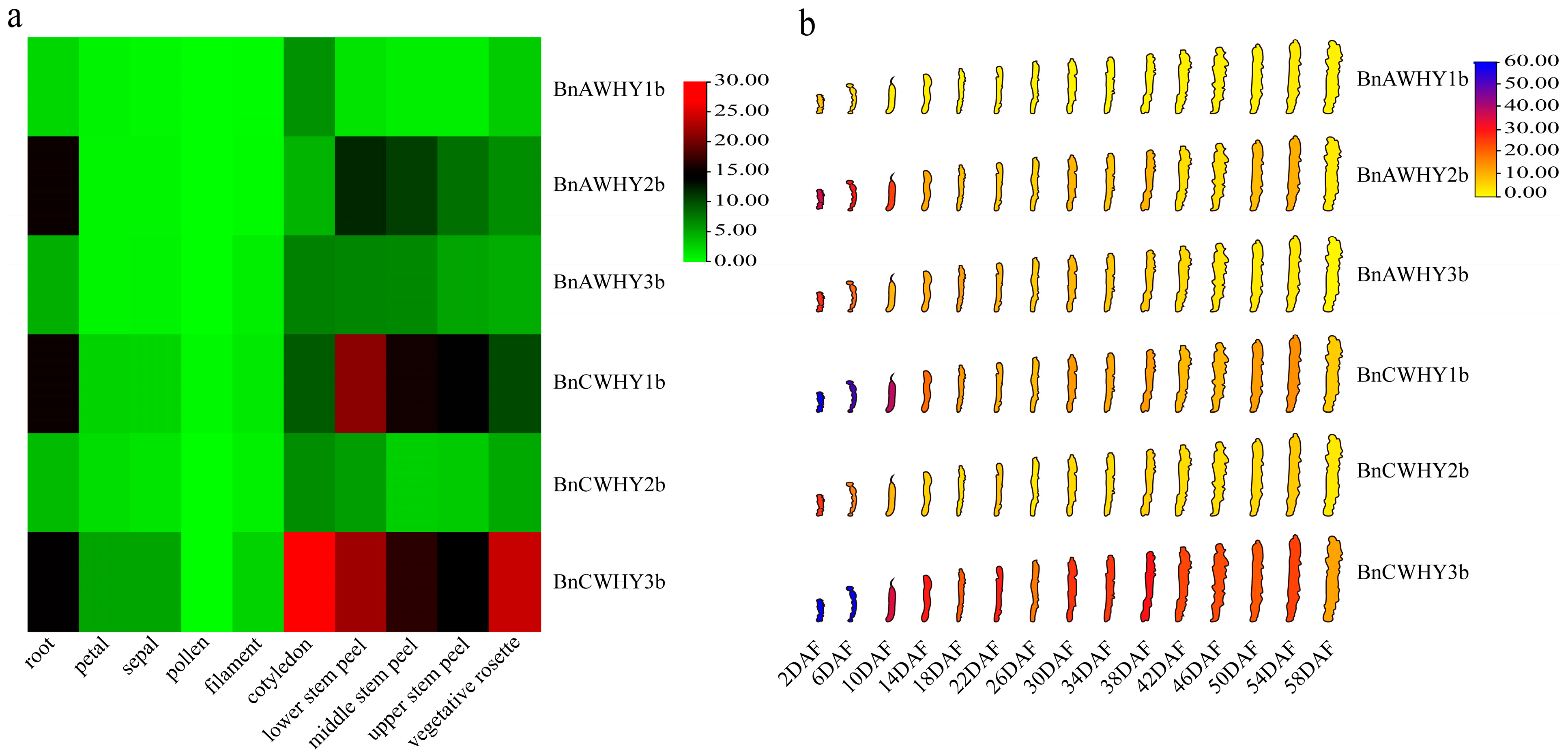 Plants 13 02243 g008