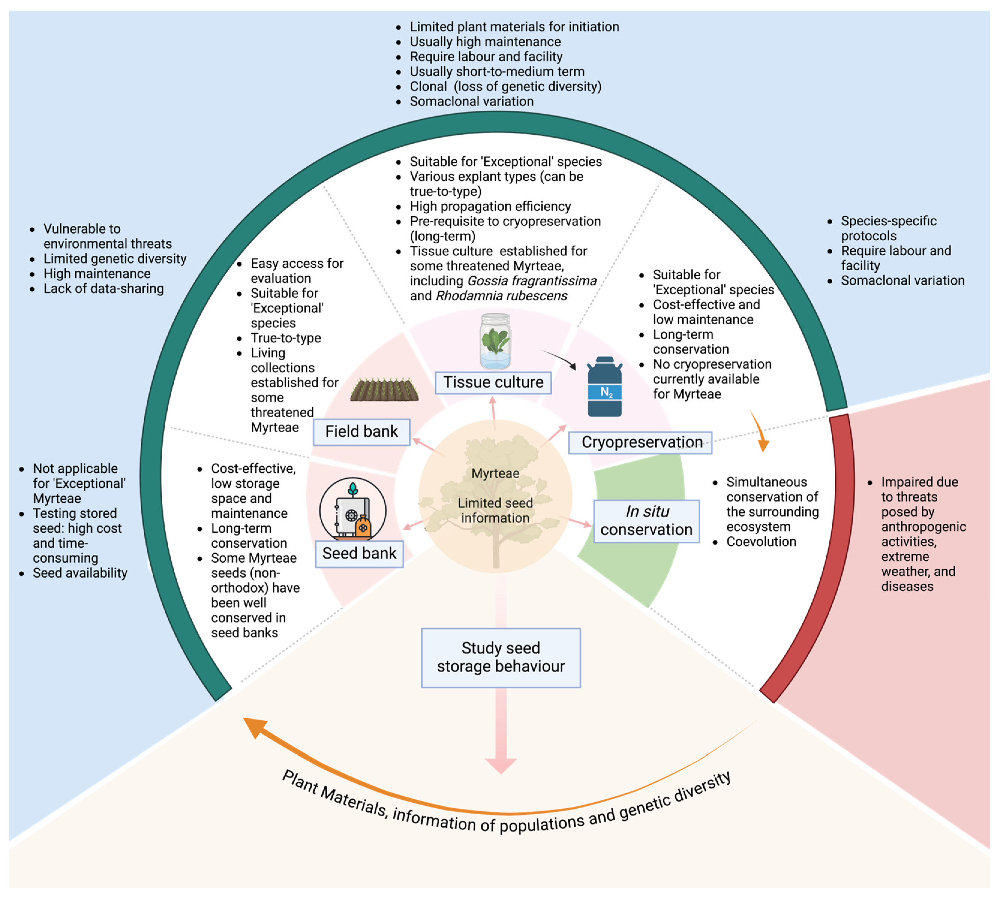Plants 13 02244 g002