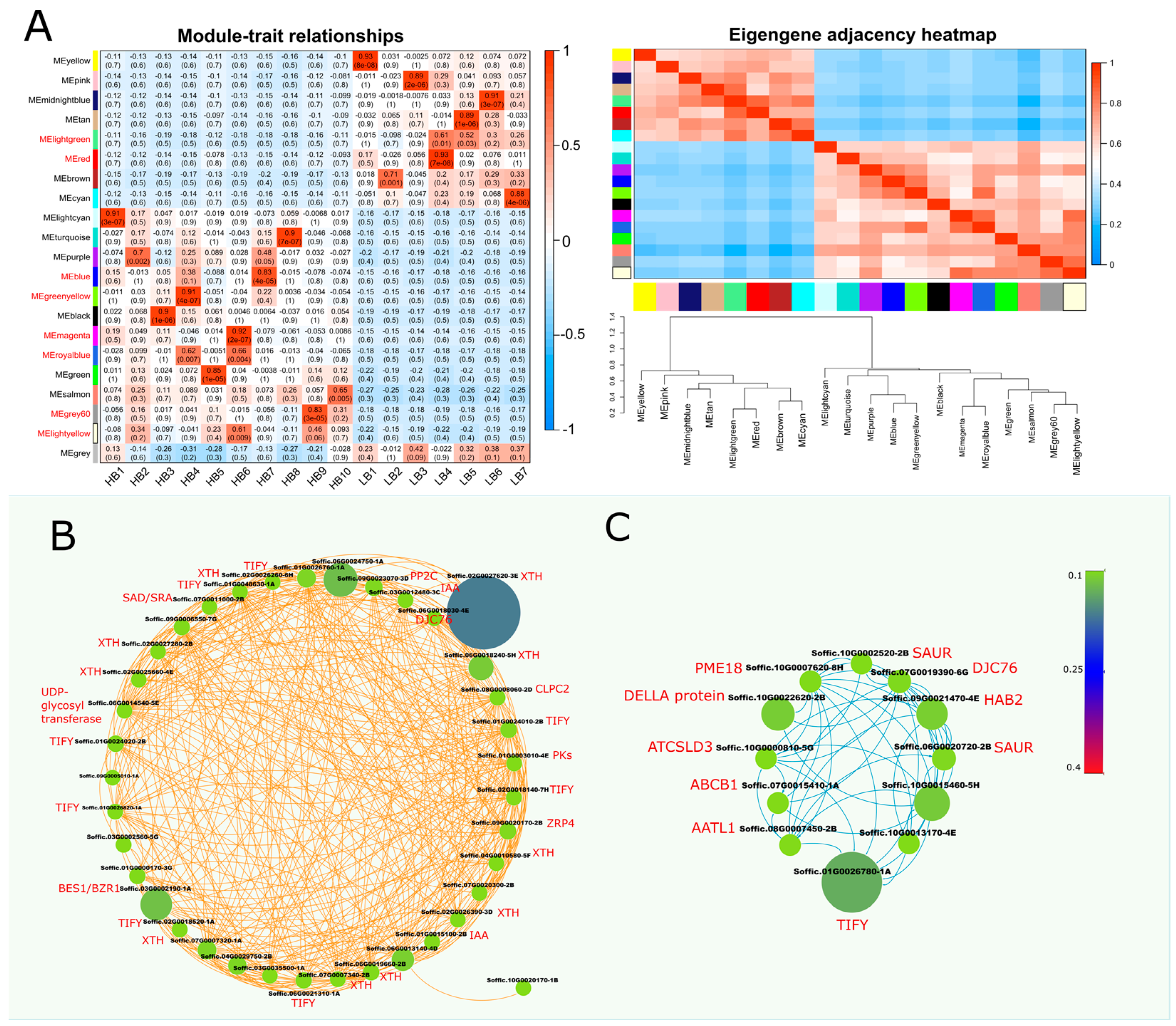Plants 13 02247 g004