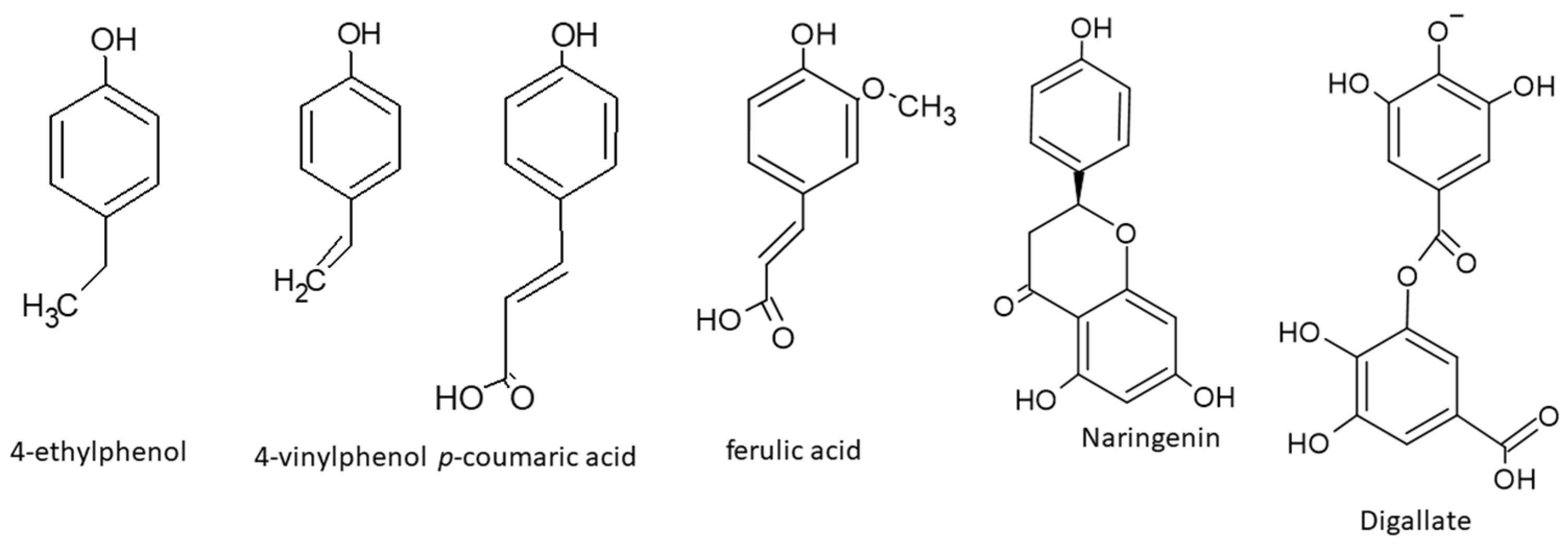 Plants 13 02248 g002