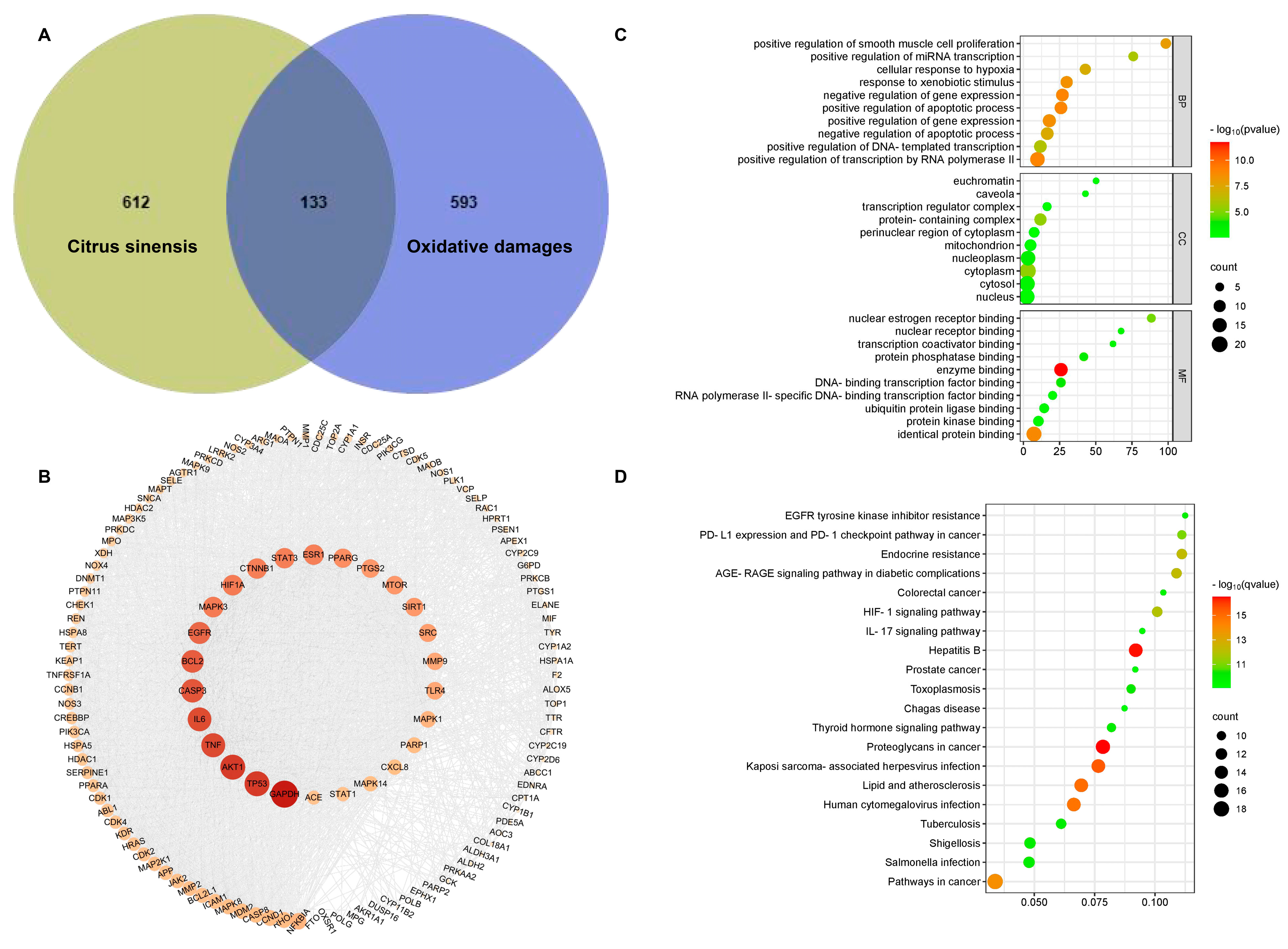 Plants 13 02259 g005