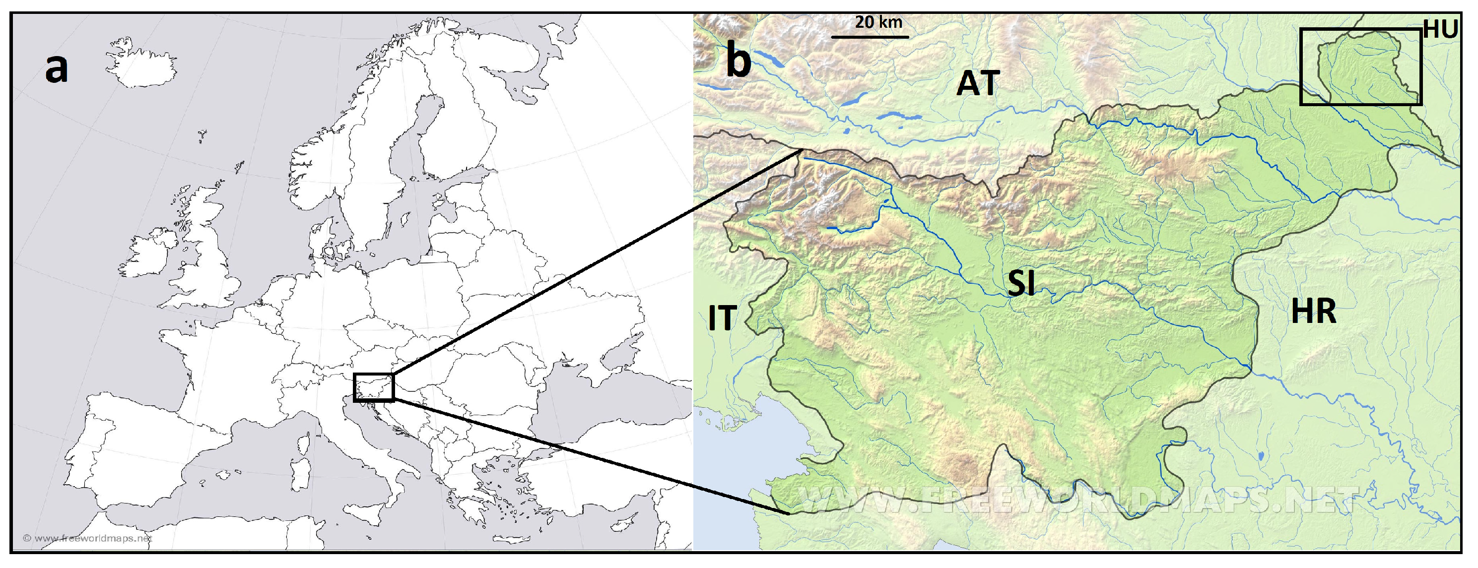 Plants 13 02260 g004