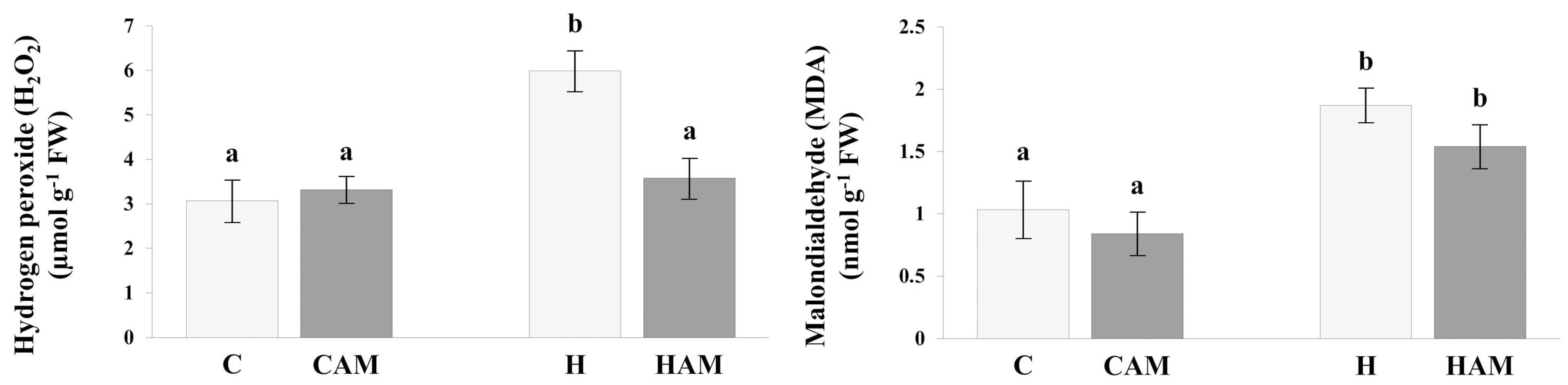 Plants 13 02266 g001
