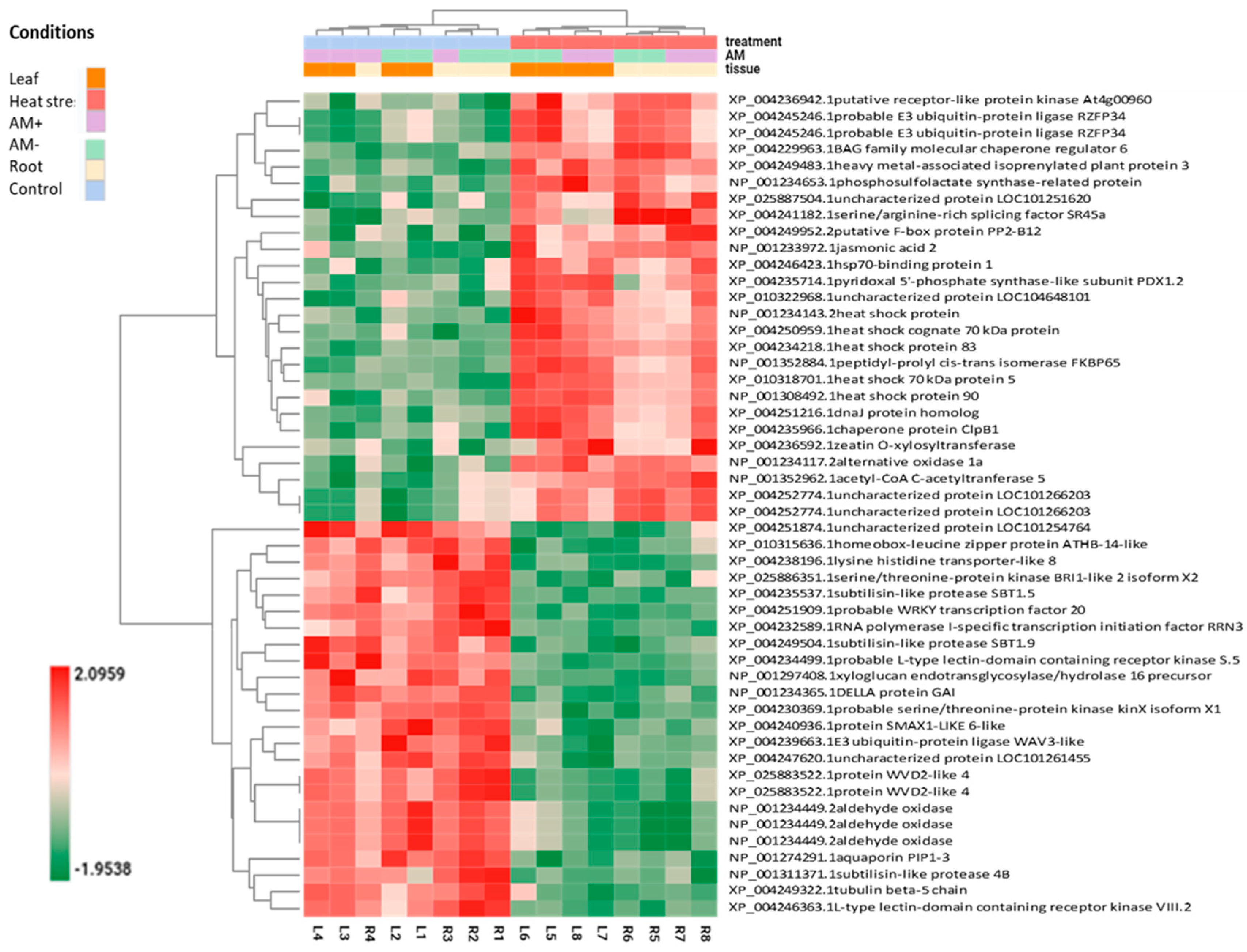 Plants 13 02266 g003