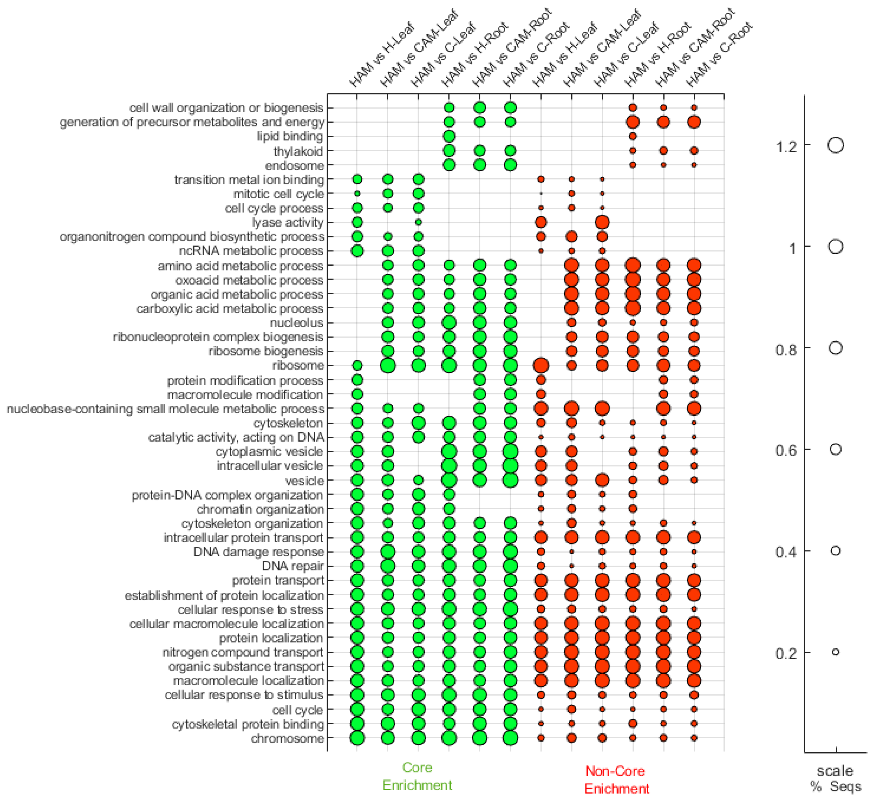 Plants 13 02266 g004