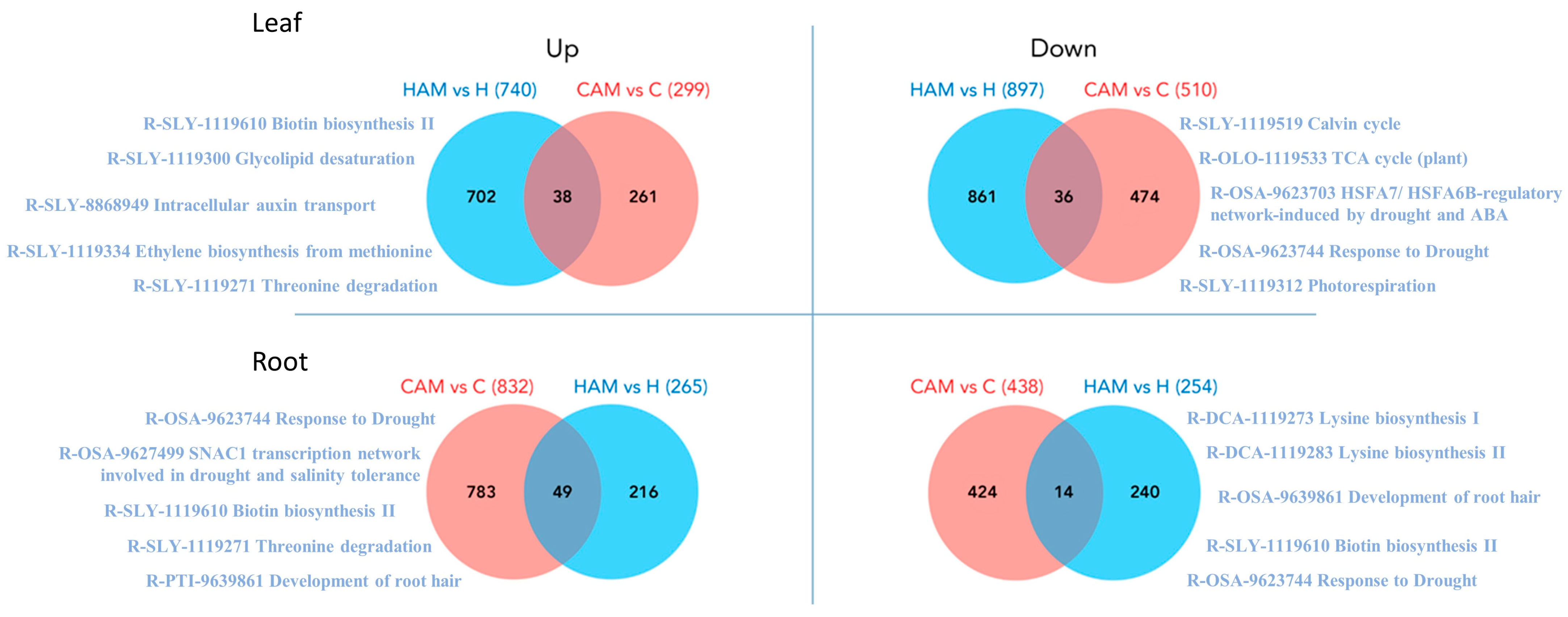 Plants 13 02266 g005