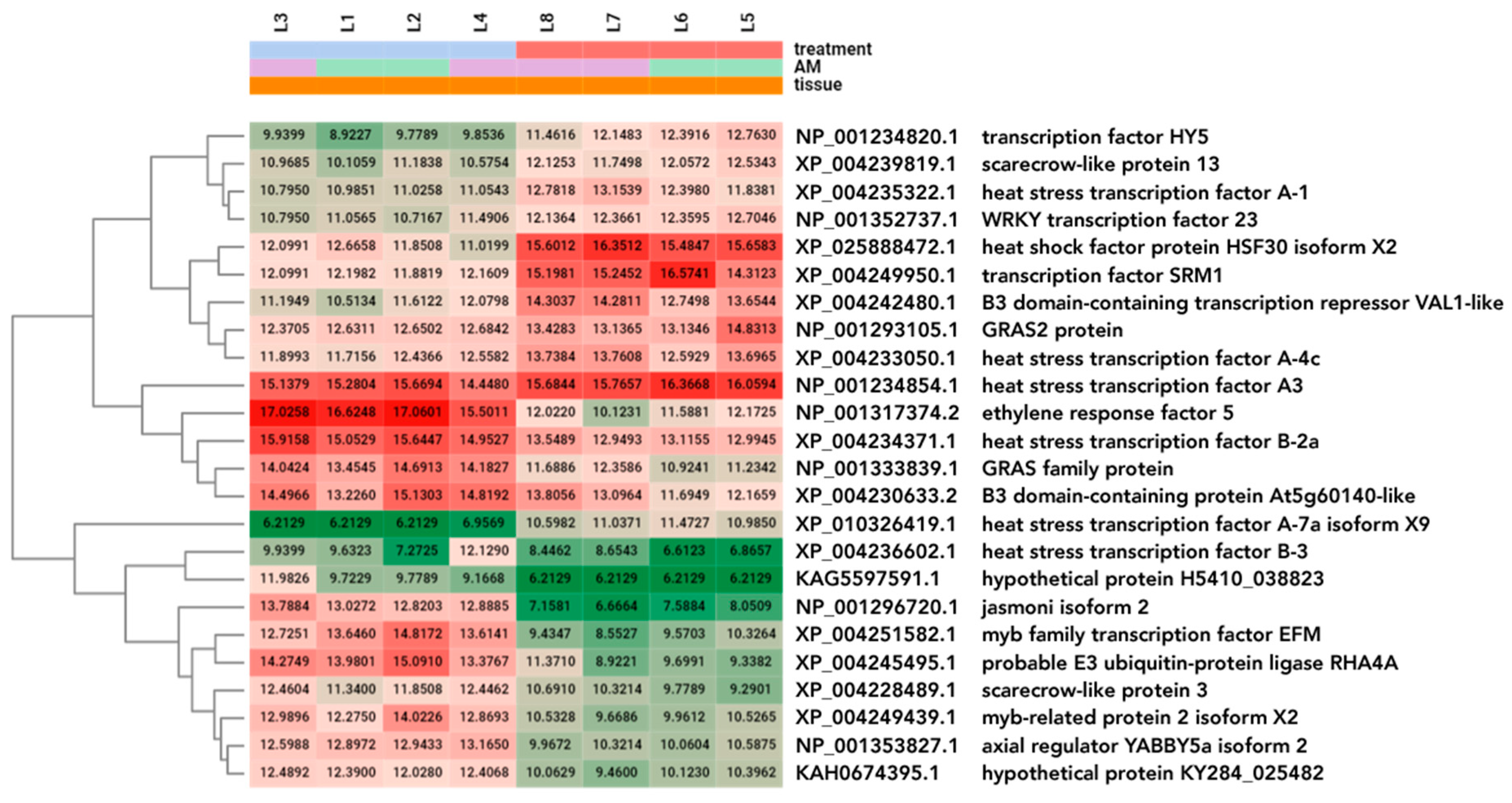 Plants 13 02266 g007