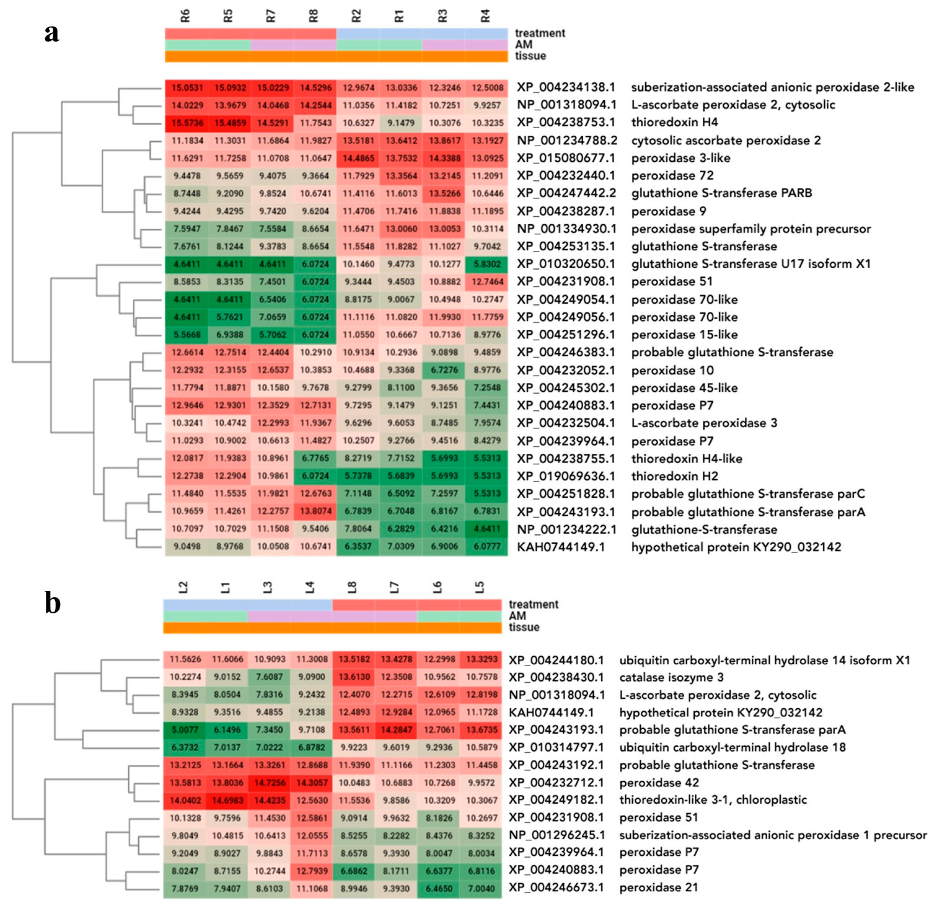 Plants 13 02266 g008