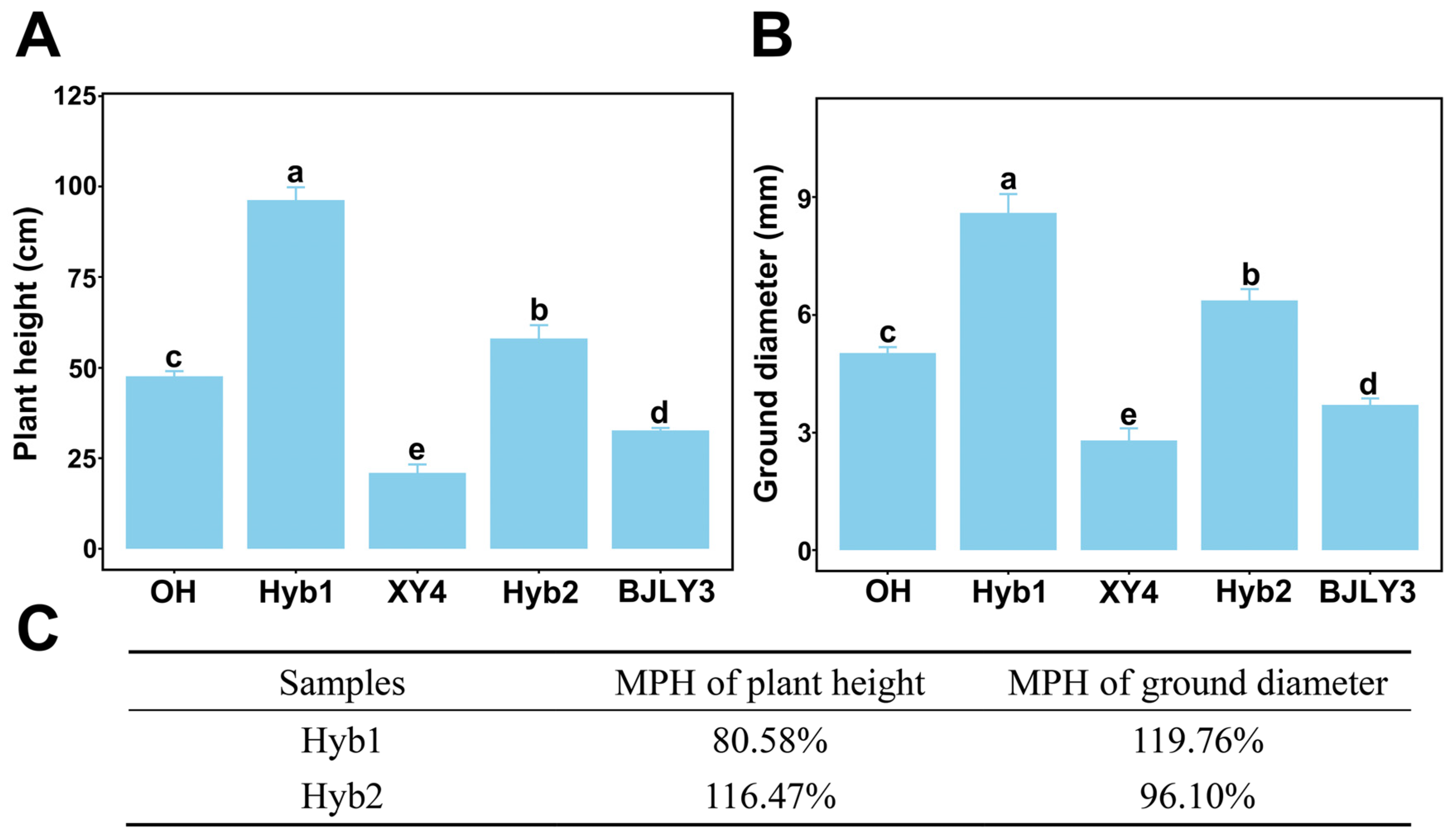Plants 13 02278 g001