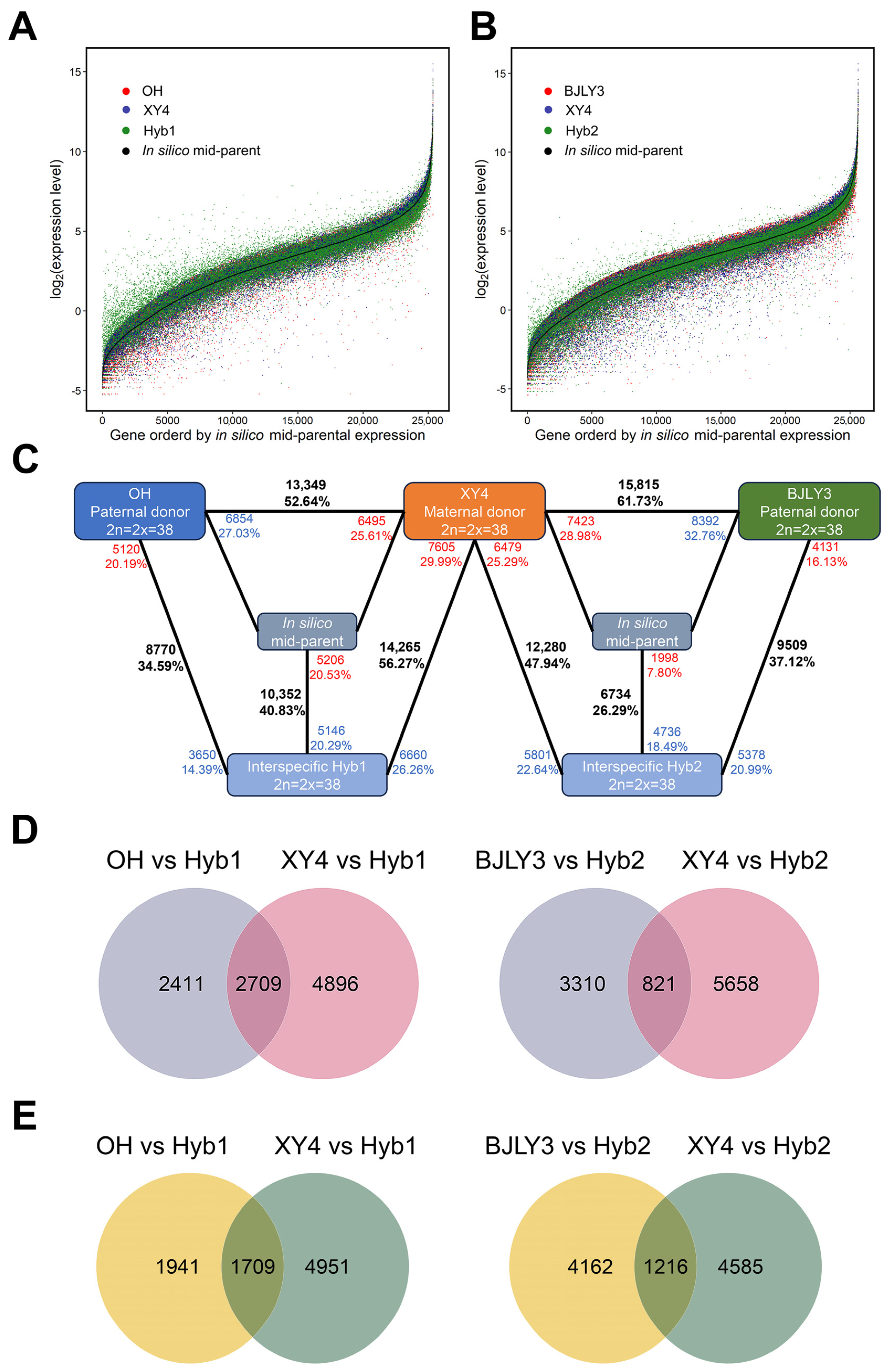 Plants 13 02278 g002