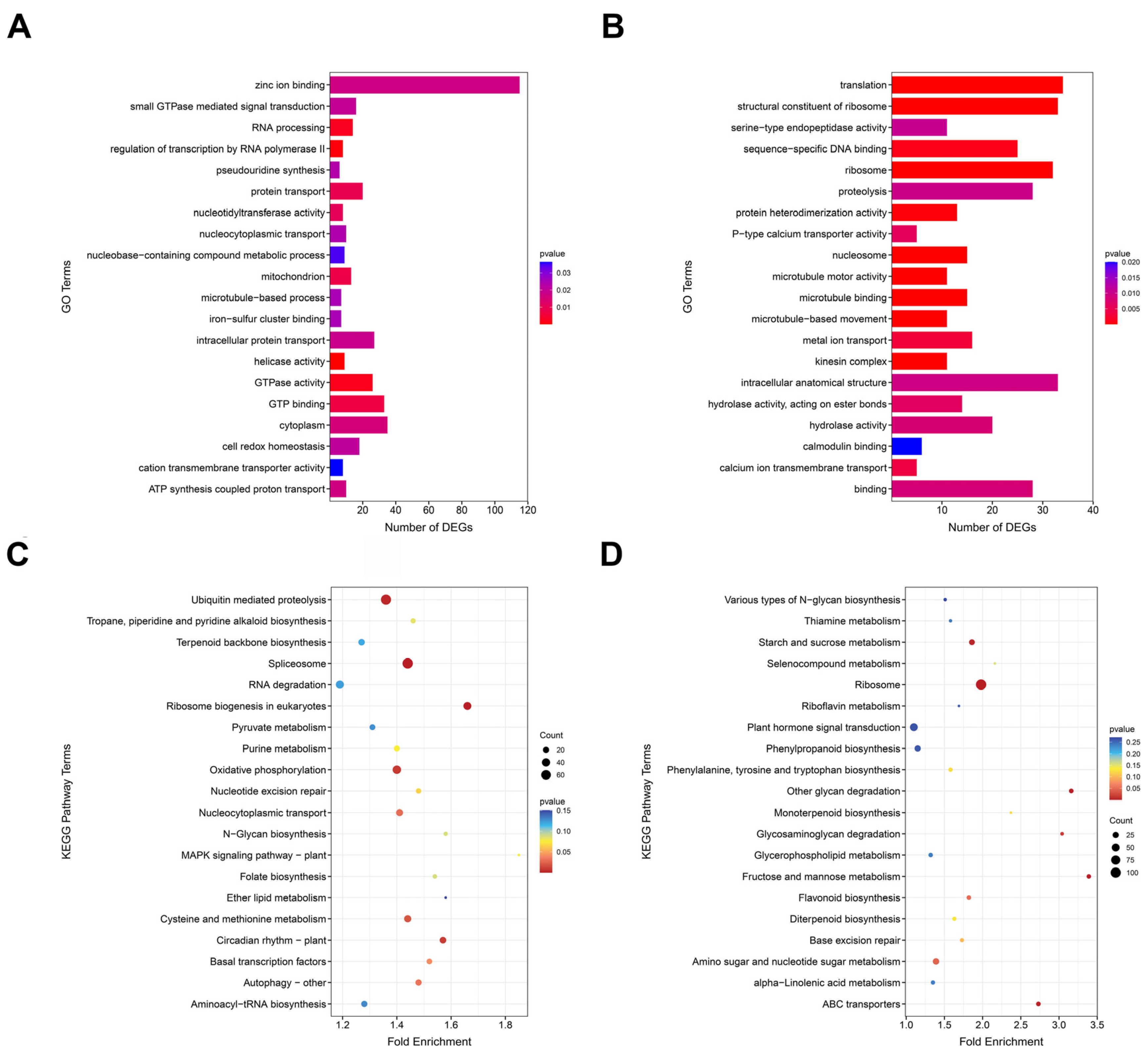 Plants 13 02278 g004