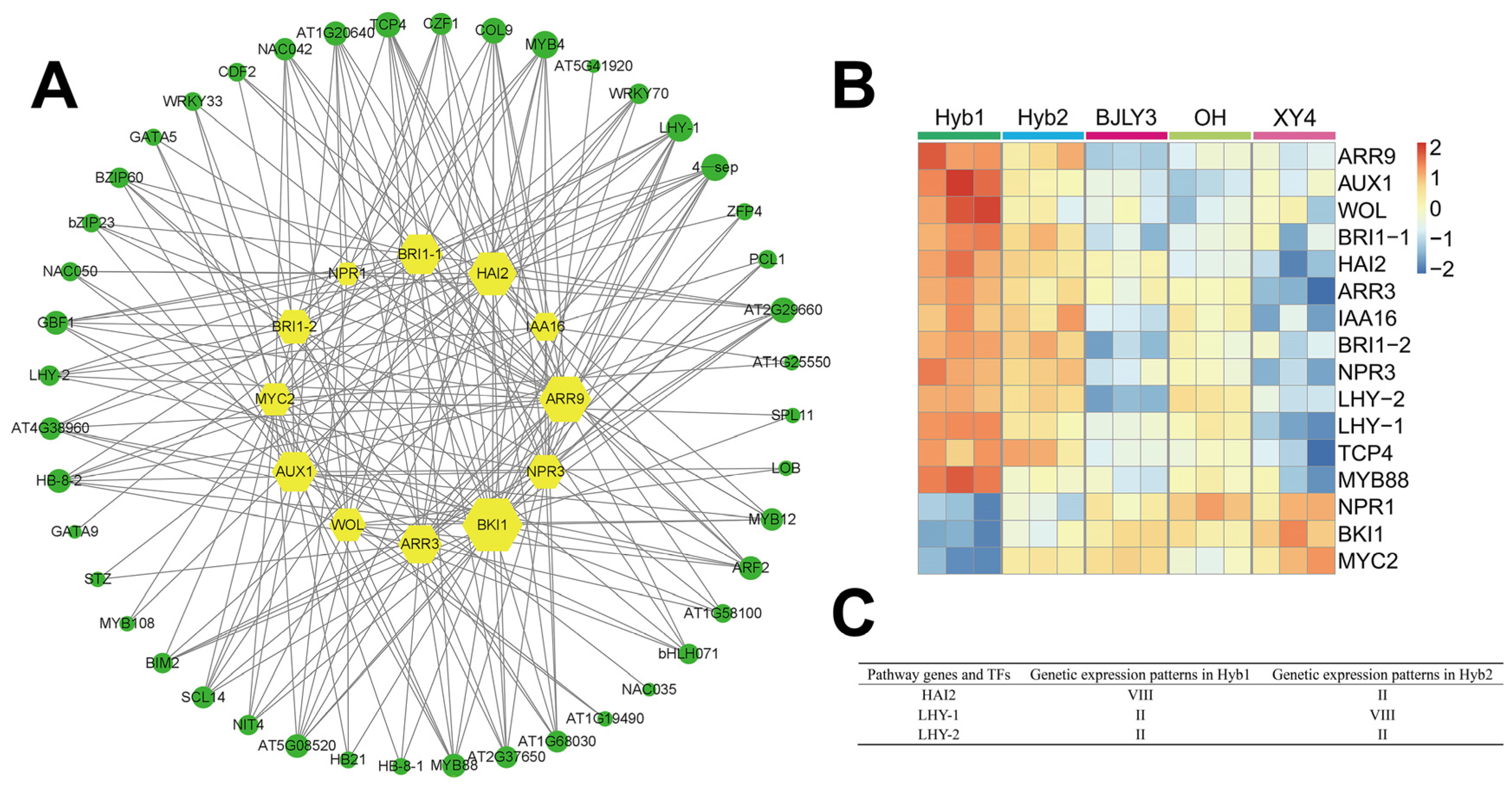 Plants 13 02278 g006