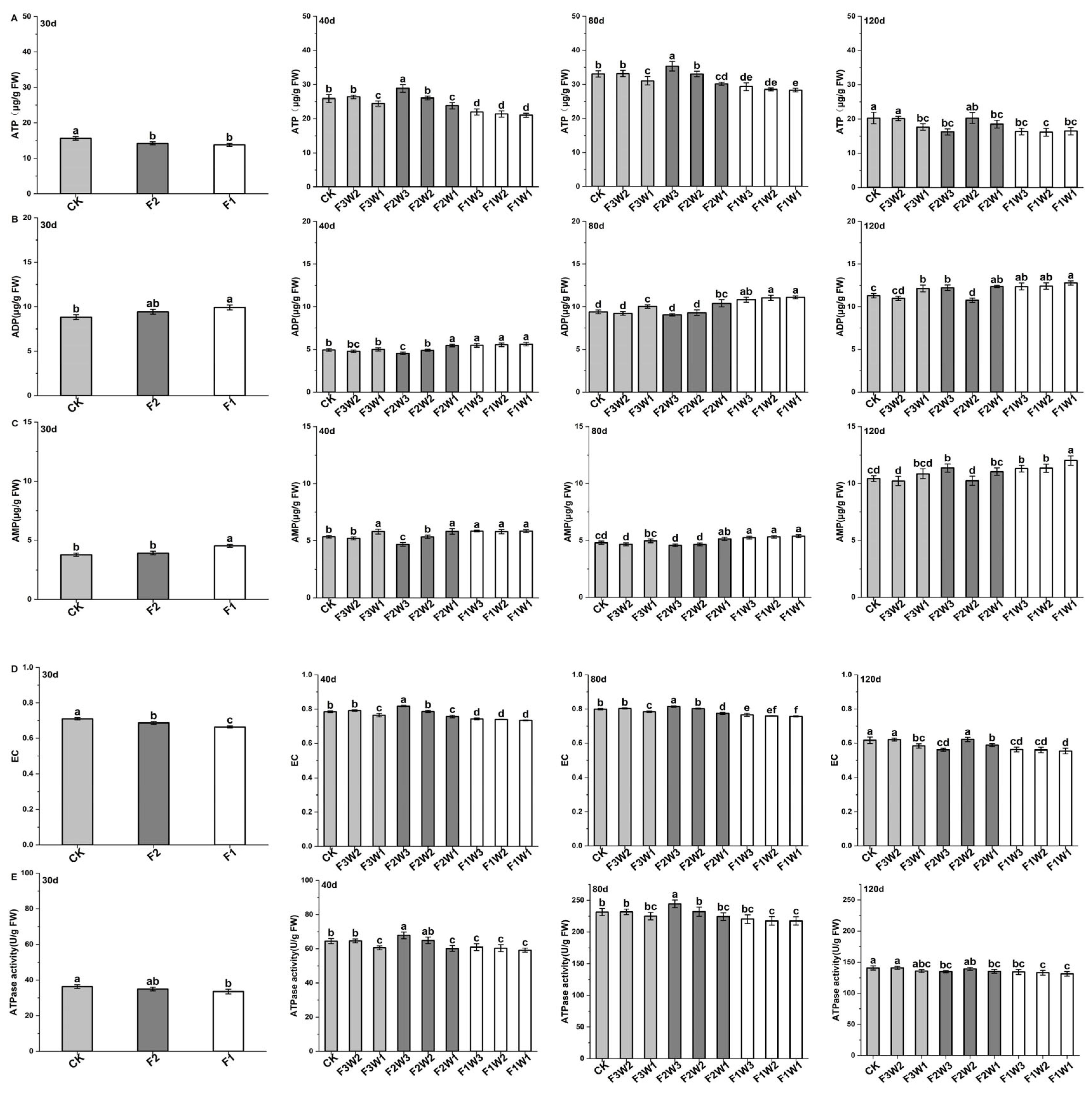 Plants 13 02282 g003