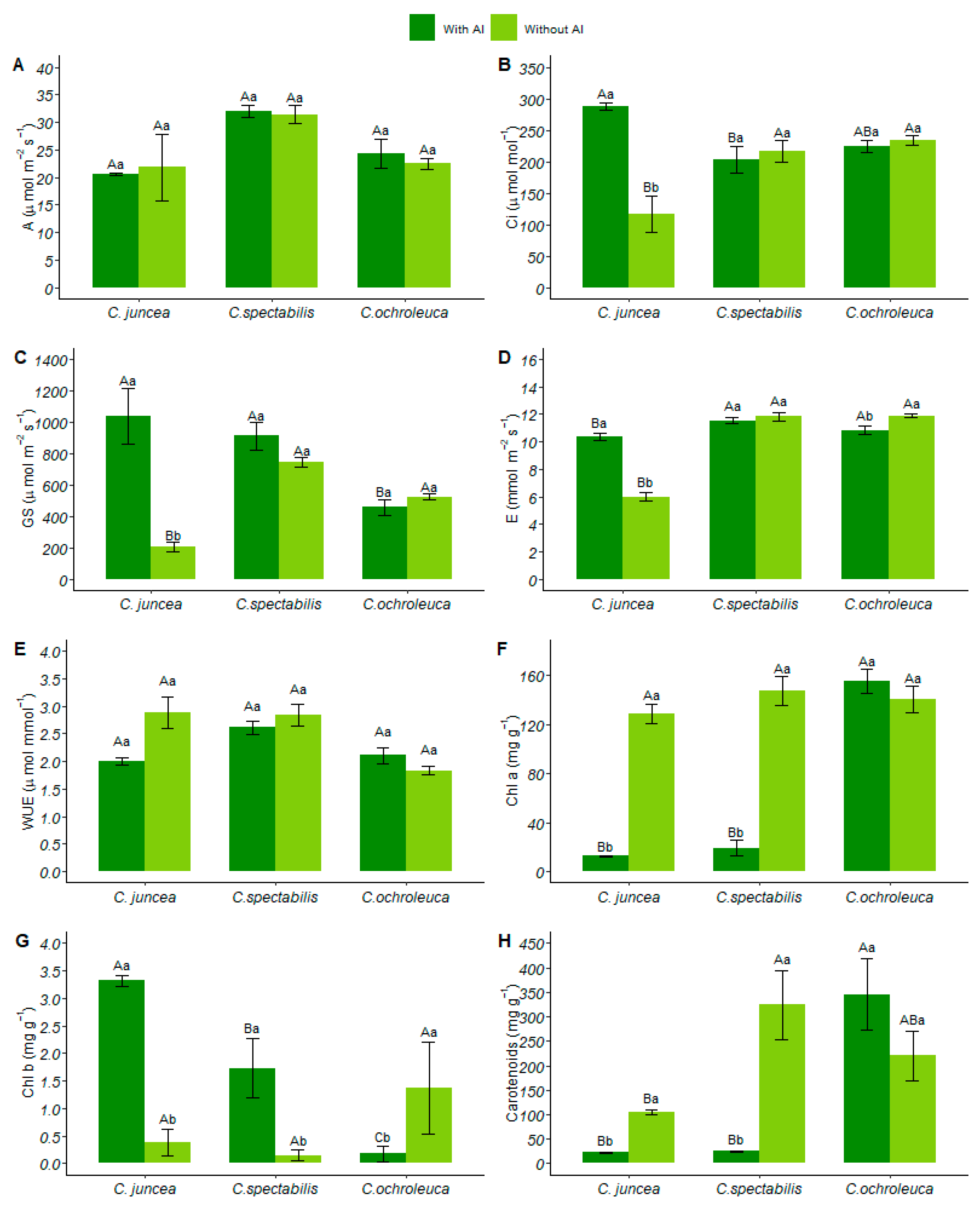 Plants 13 02292 g002