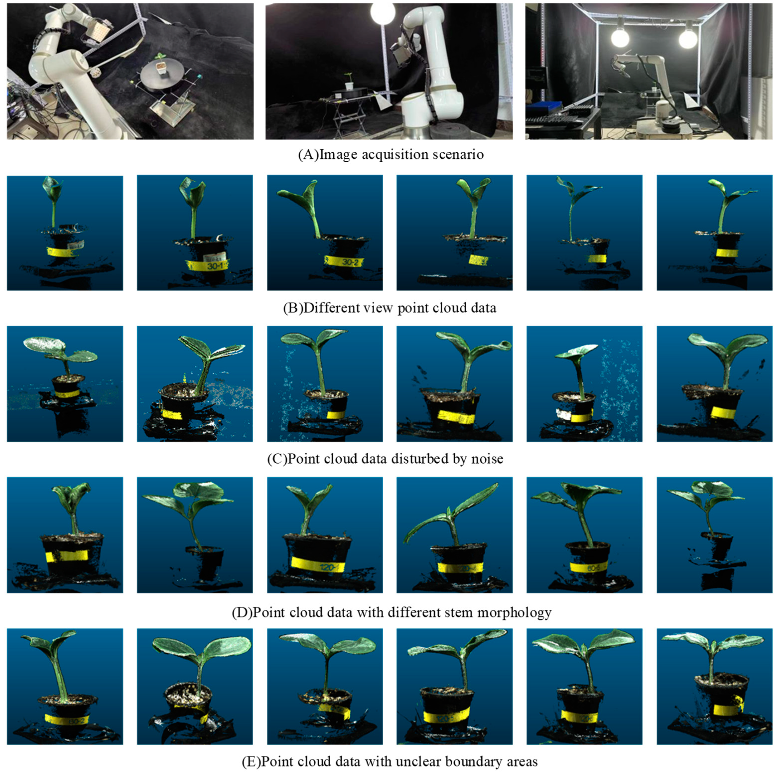 Plants 13 02300 g001