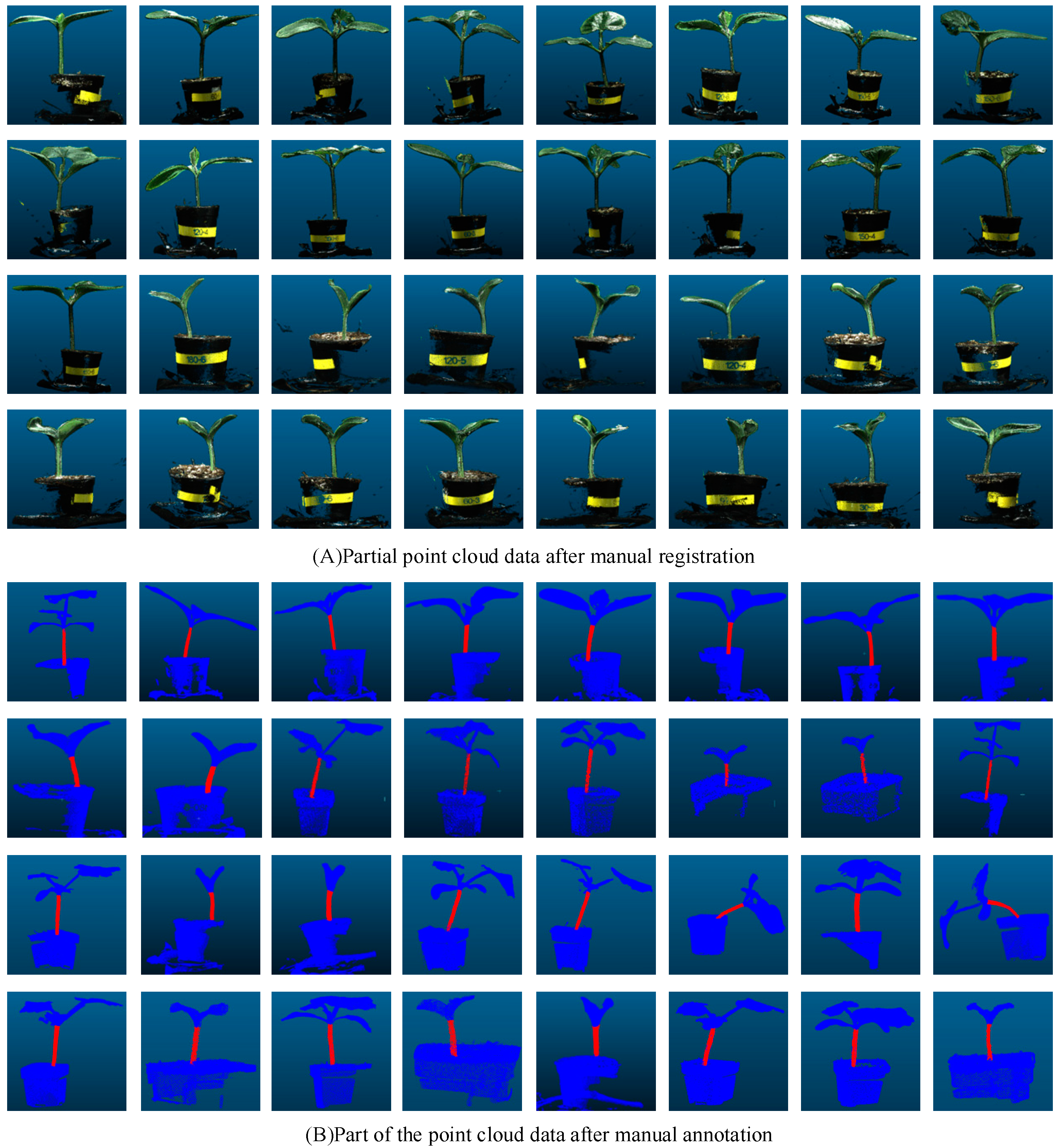 Plants 13 02300 g002