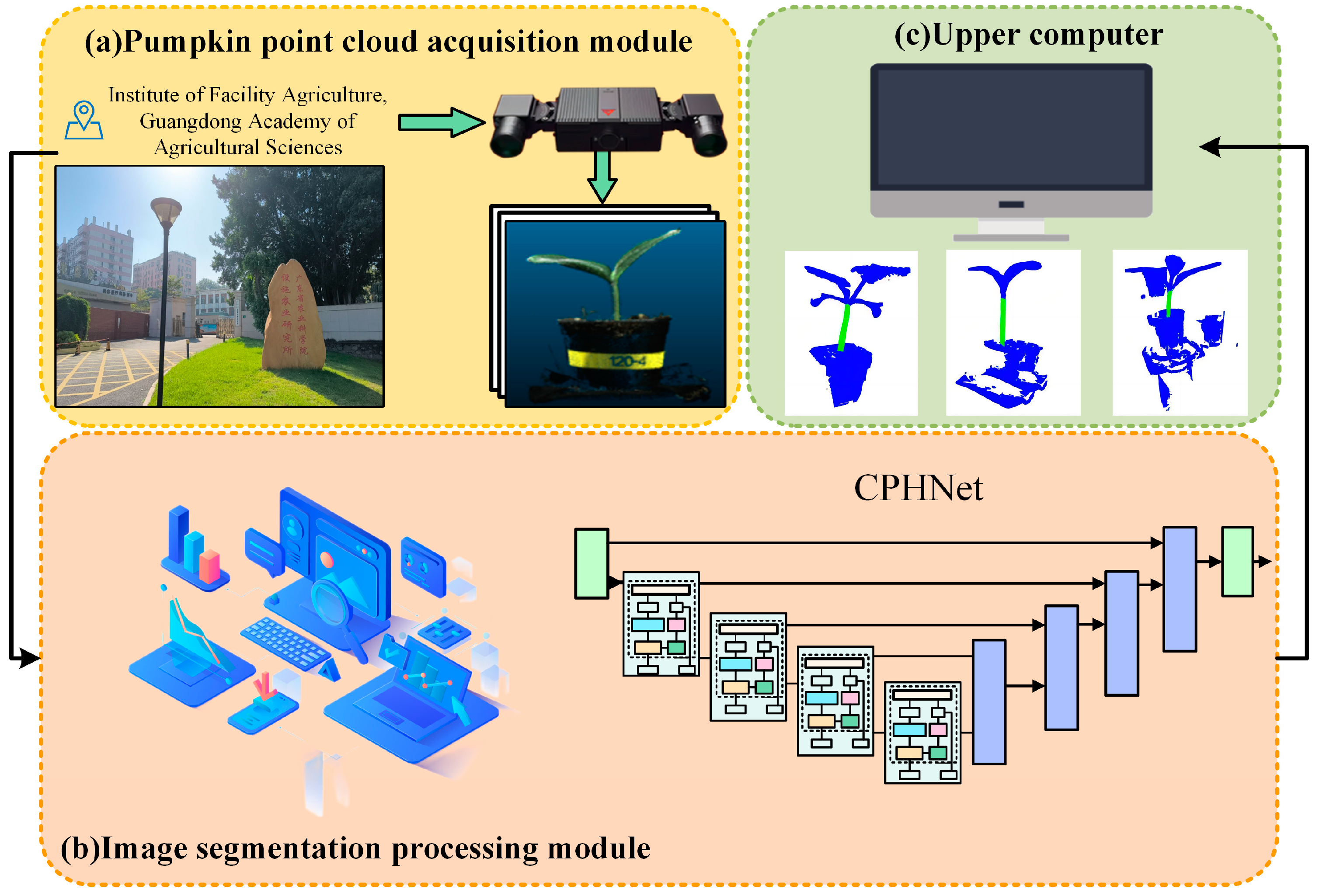 Plants 13 02300 g006