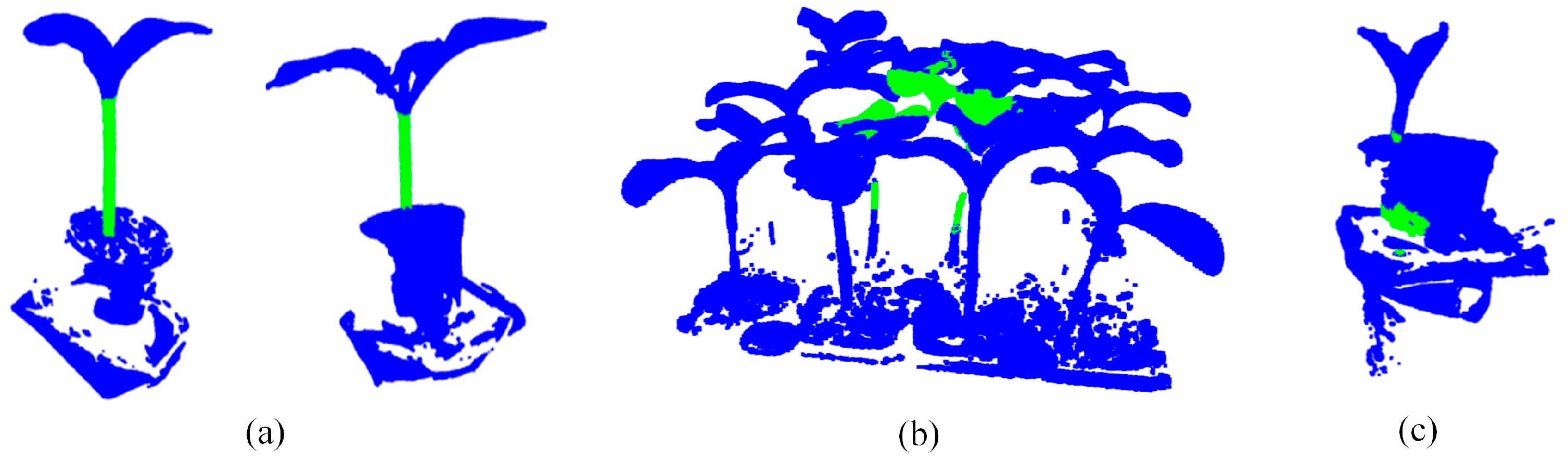 Plants 13 02300 g007