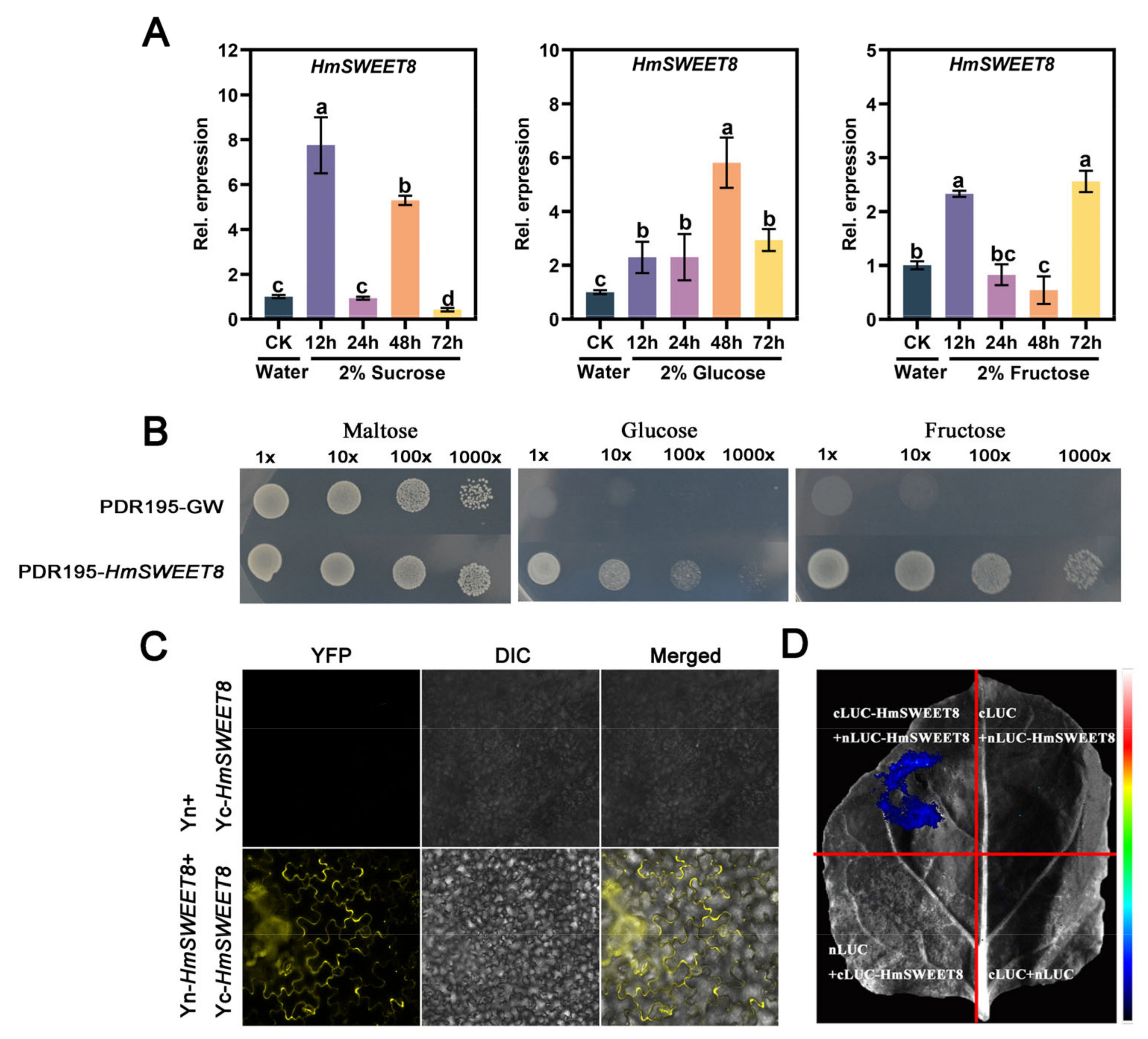 Plants 13 02302 g002