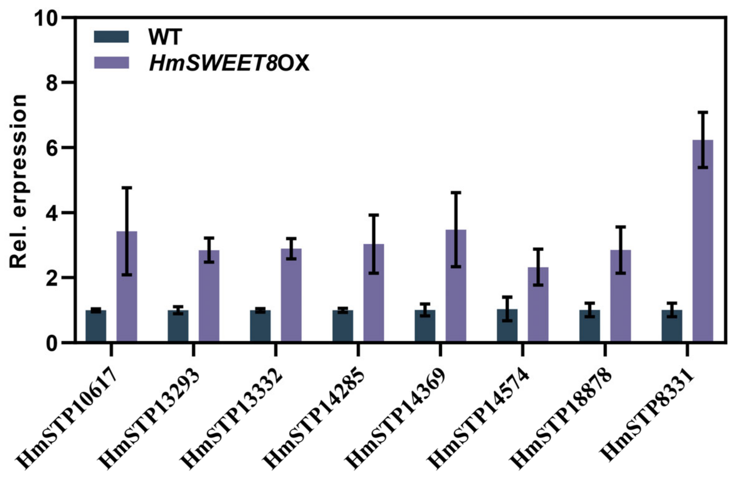 Plants 13 02302 g004