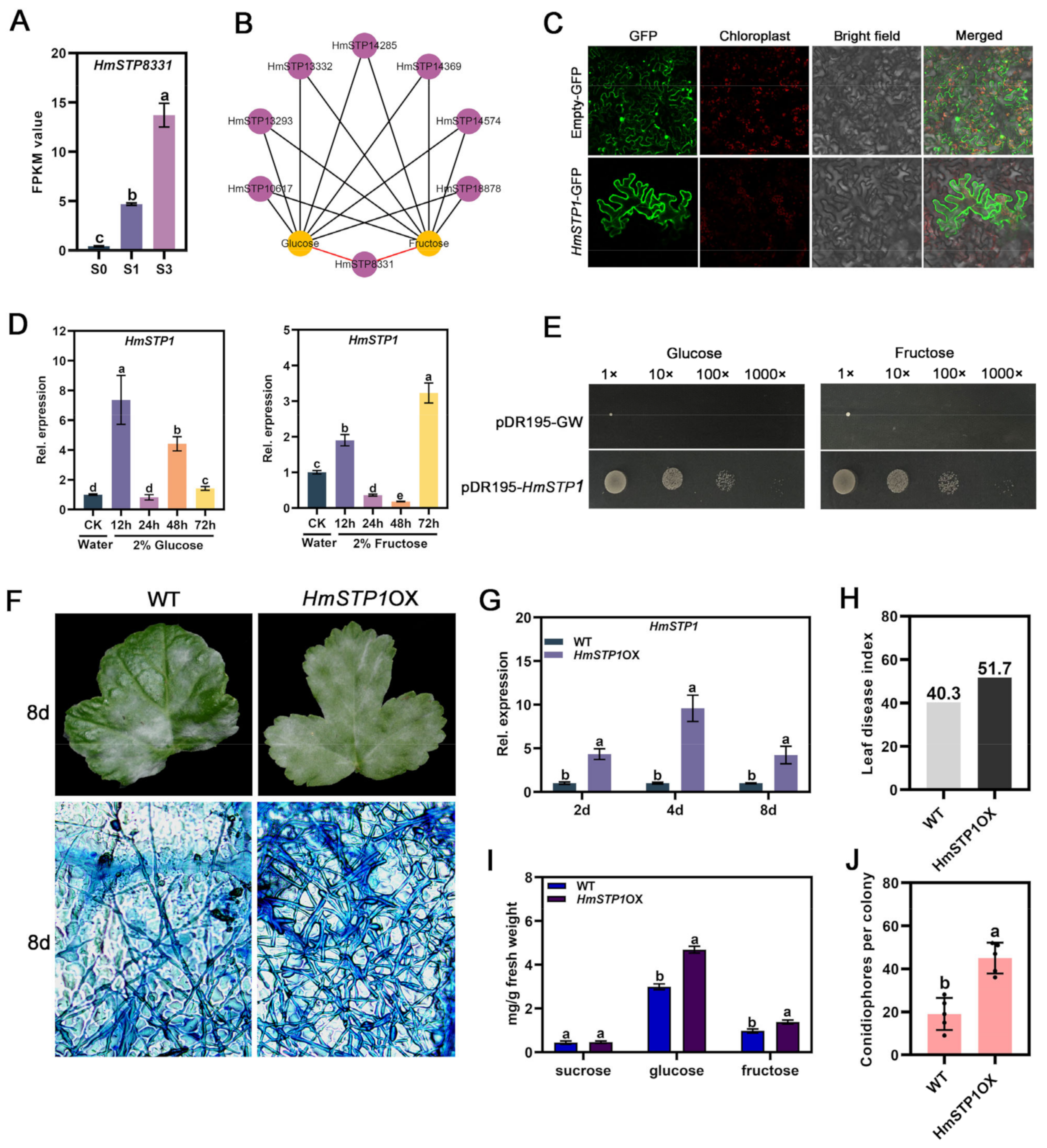 Plants 13 02302 g005
