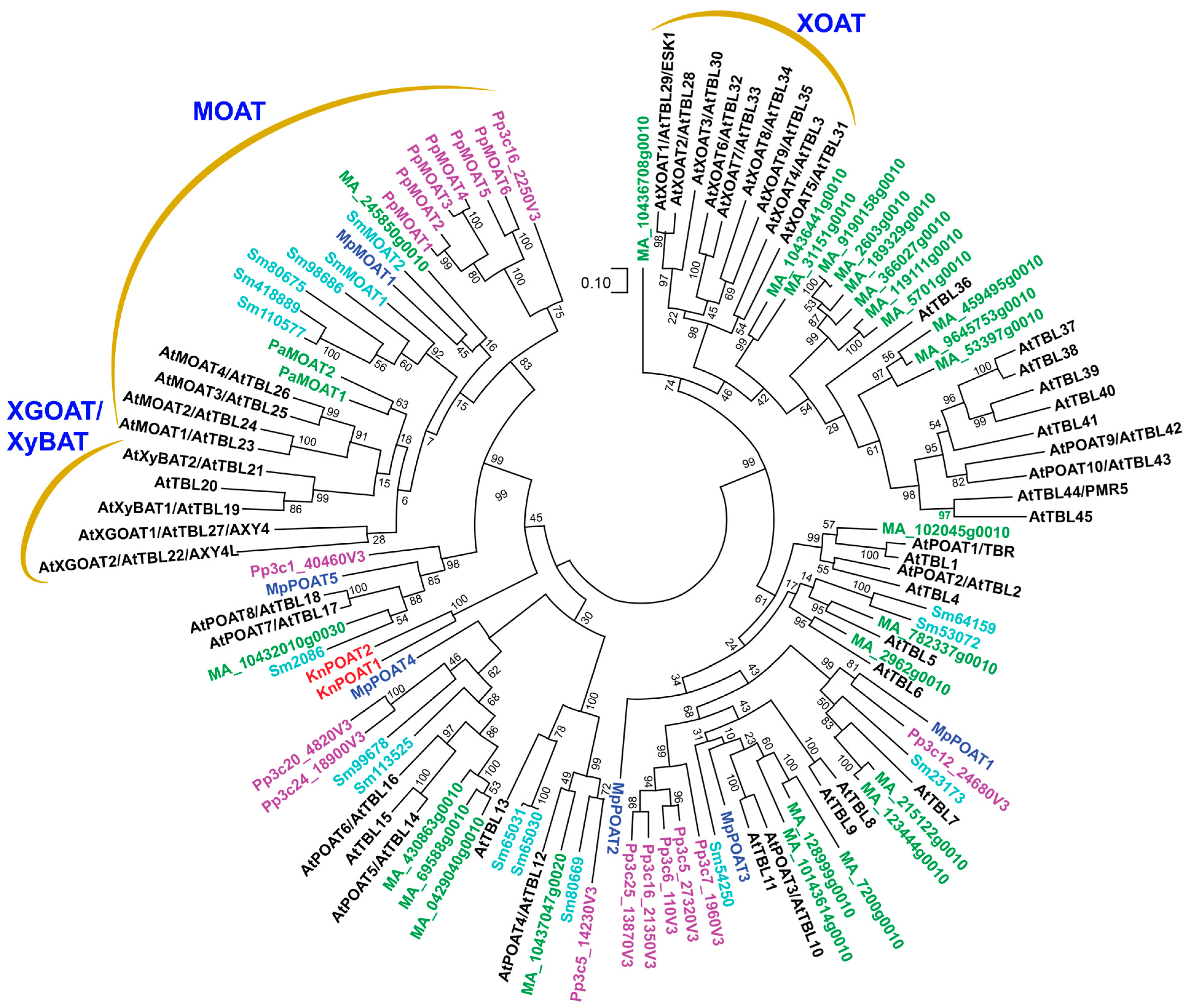 Plants 13 02304 g001 Plants 13 02304 g001